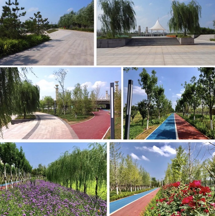宁晋凤鸣湖公园旅行图片