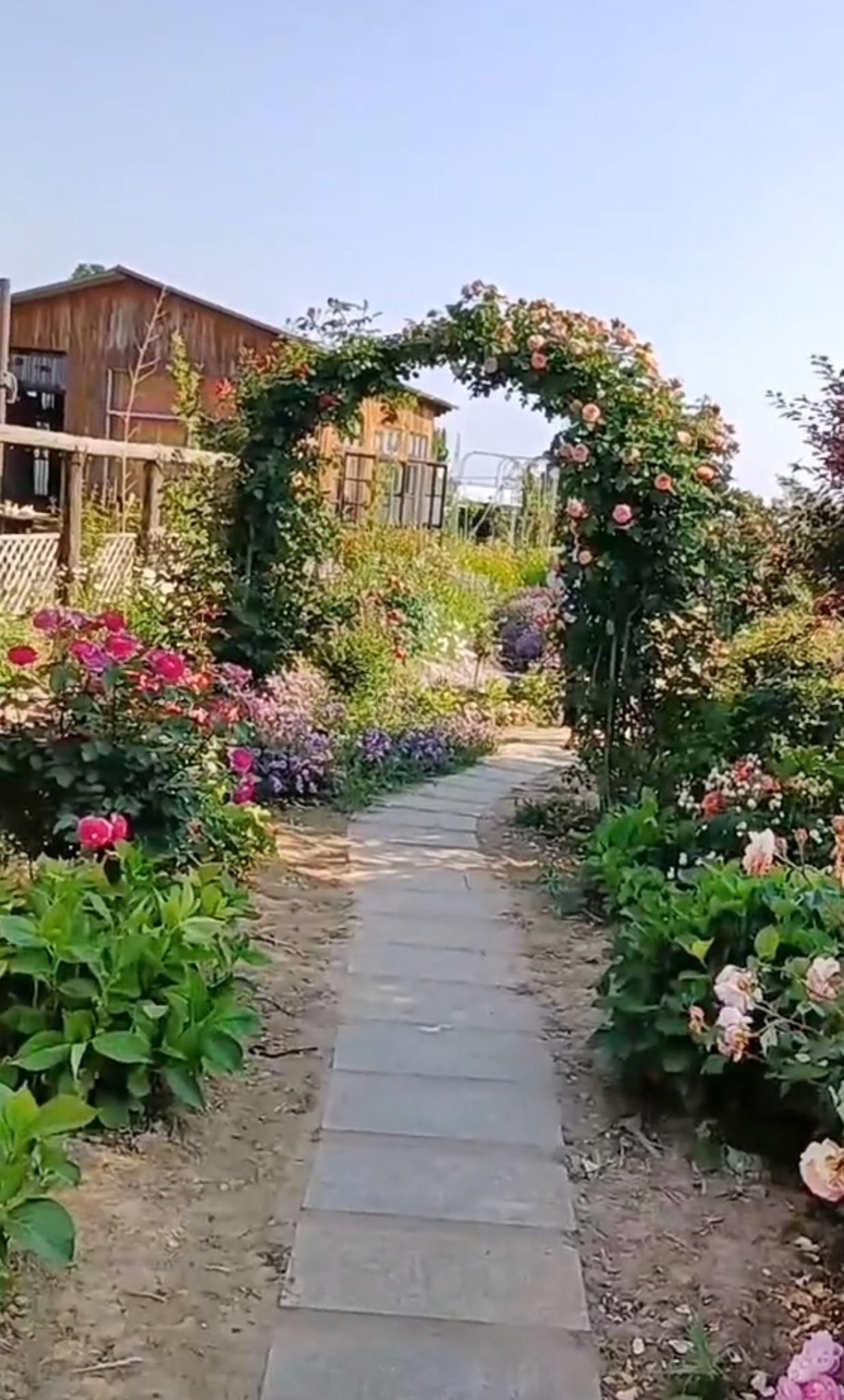 晶莹花园旅行图片