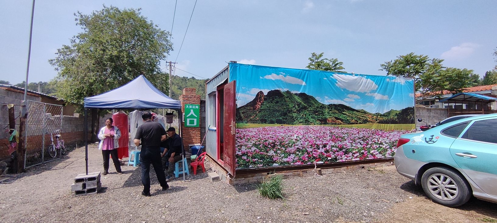 大美温滴楼花海旅行图片