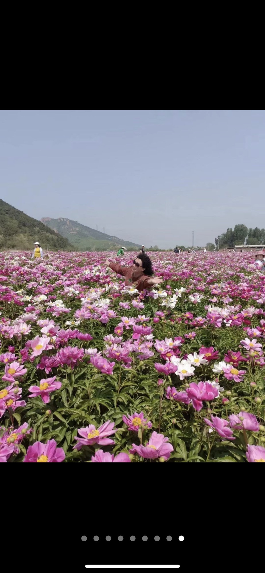 大美温滴楼花海旅行图片