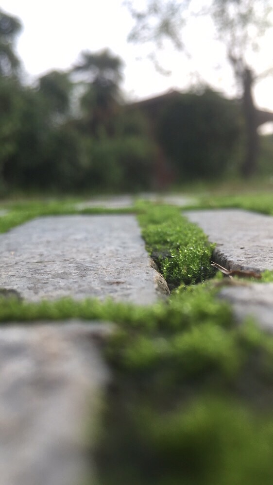 镇河铁犀