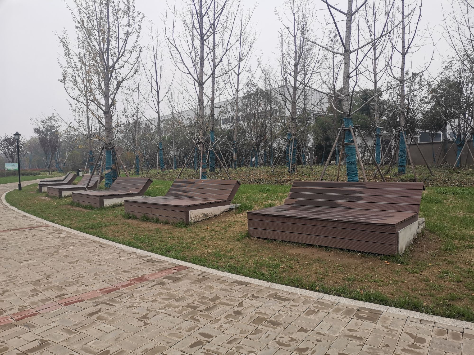 经开区北区中心公园