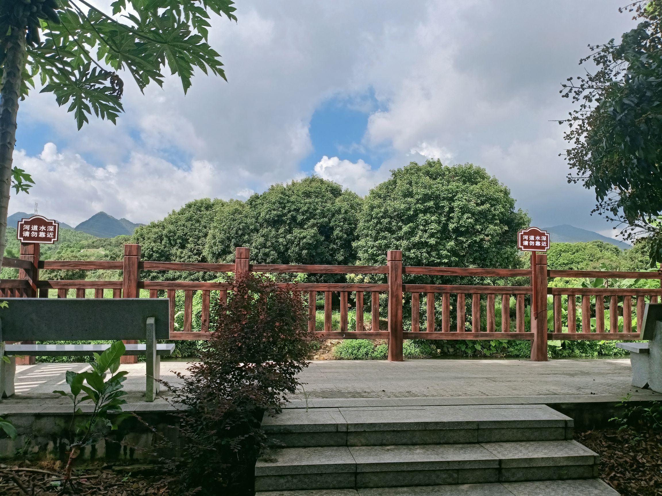 黄竹沥古荔枝公园旅行图片