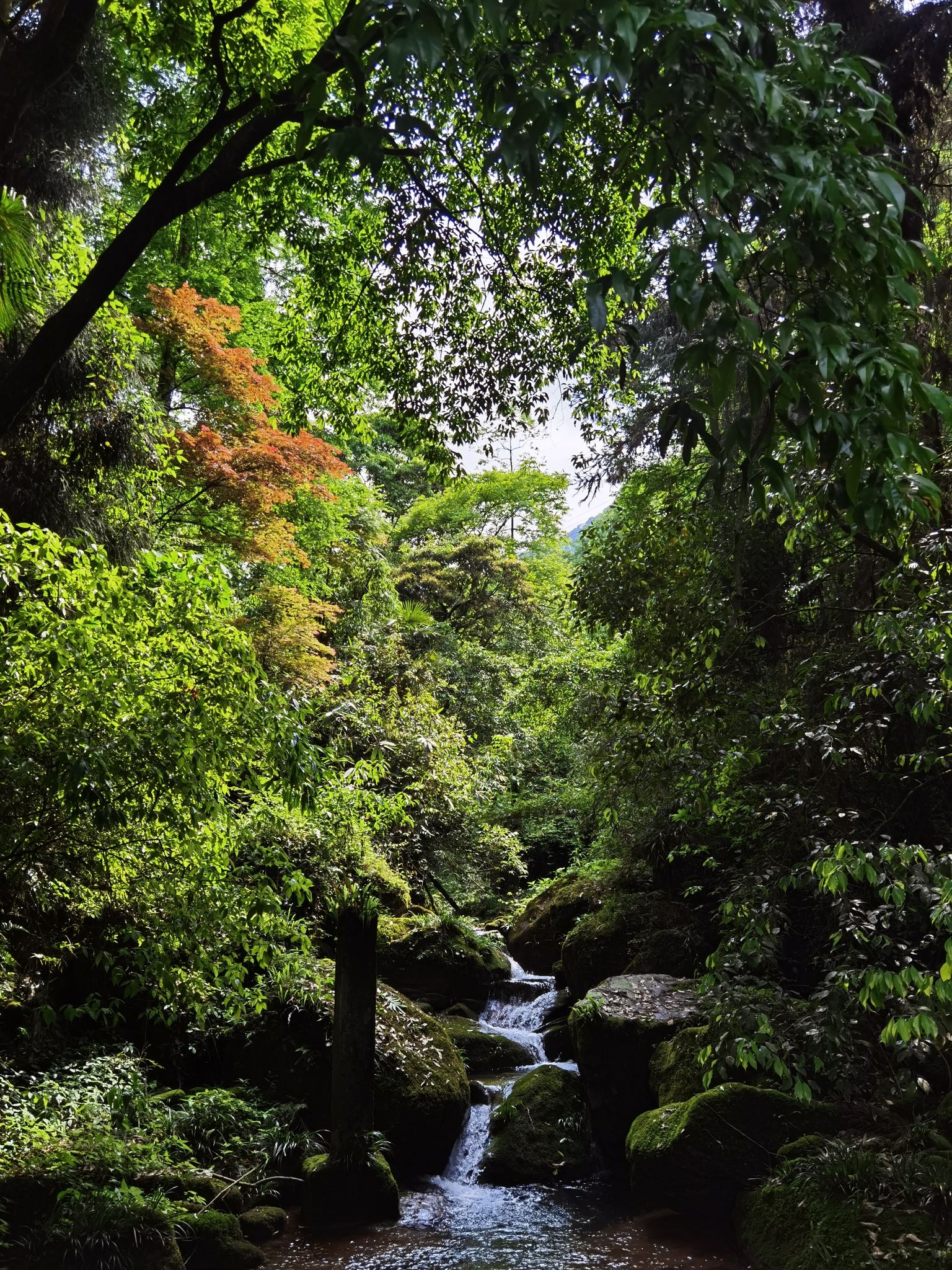 金凤山云端步道(不对外开放)