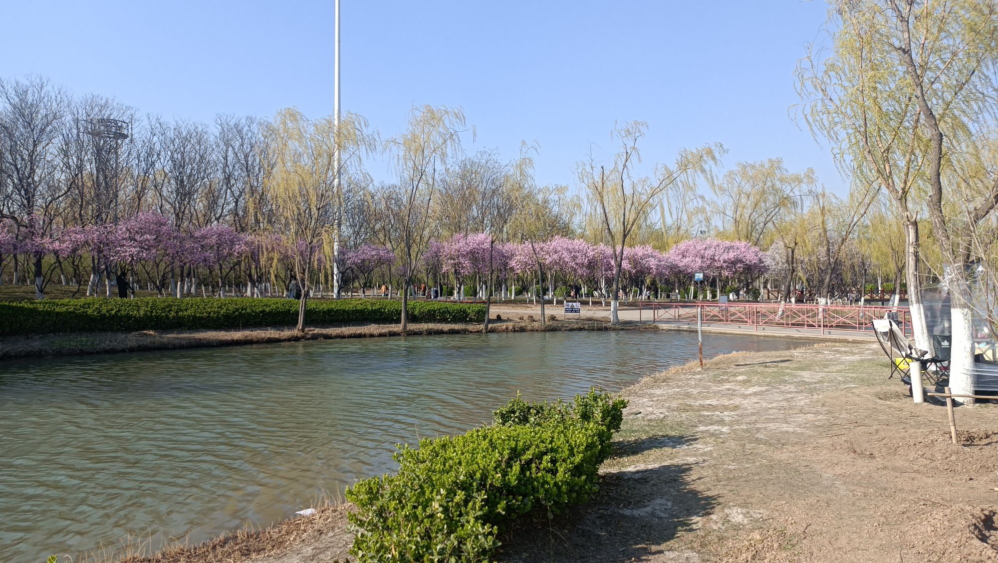 静海森林公园