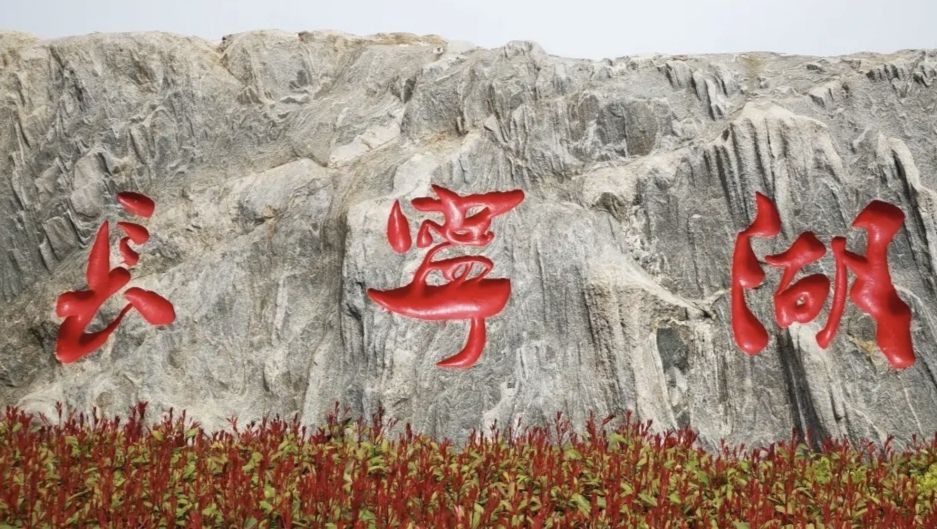 金乡长宁湖湿地公园