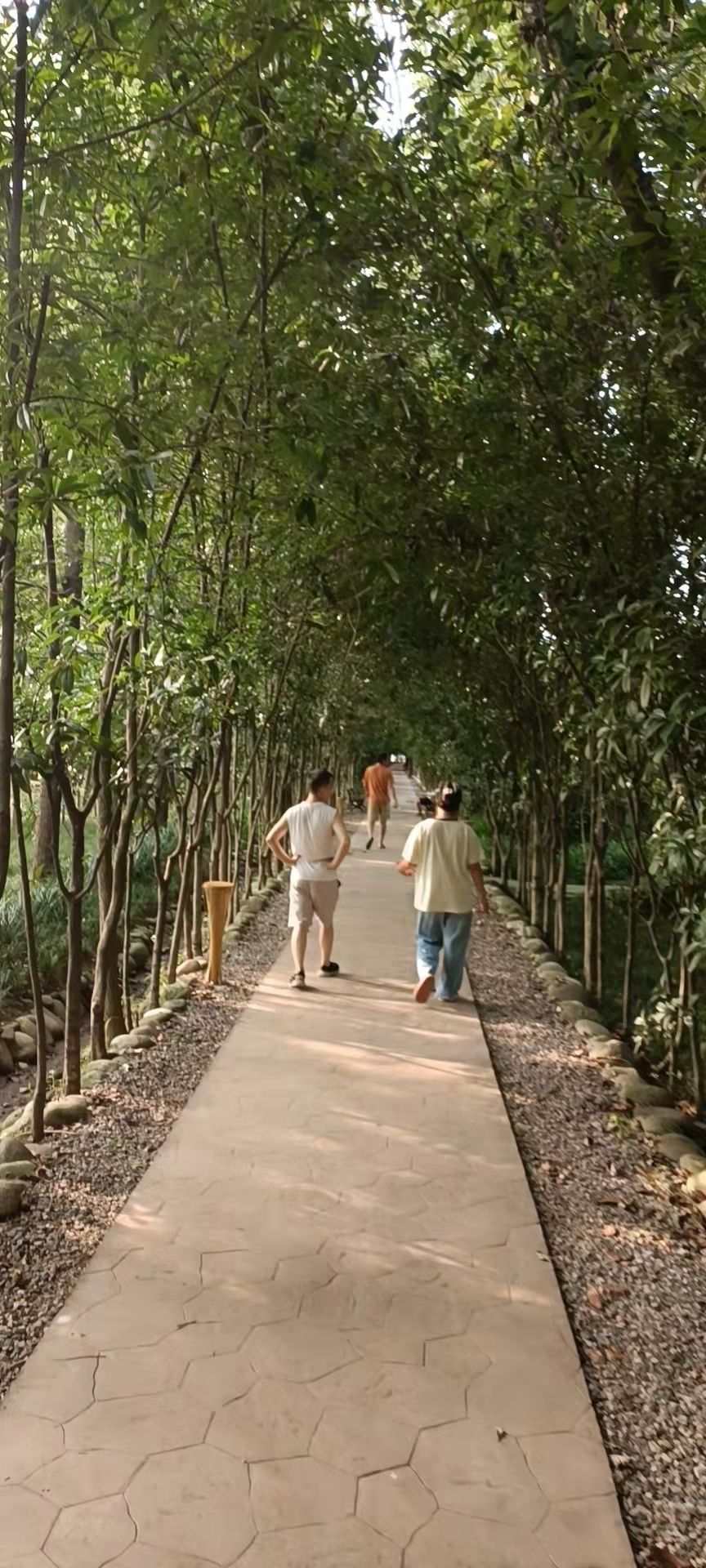 红光印象旅行图片