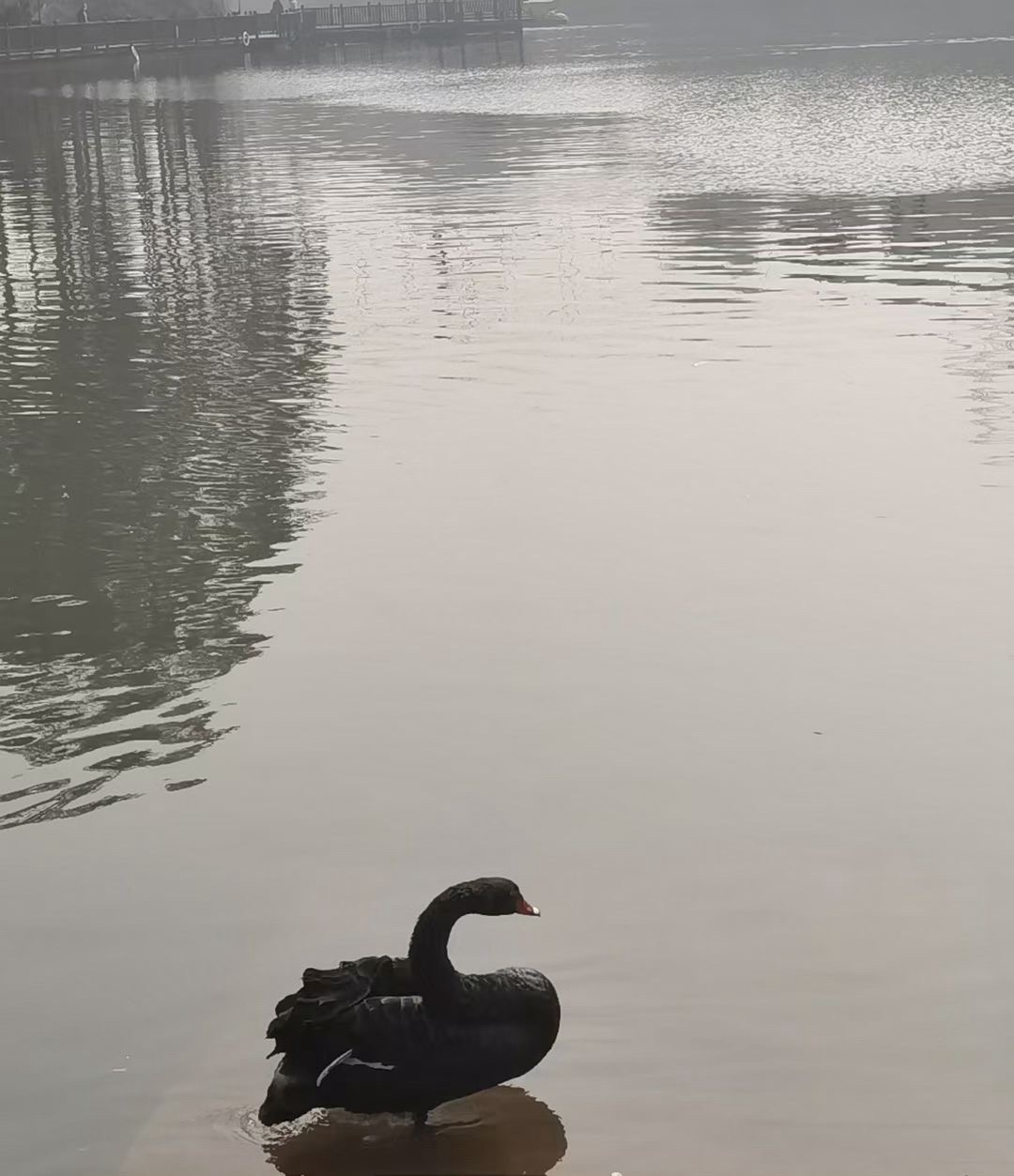 桂花湖亲子乐园