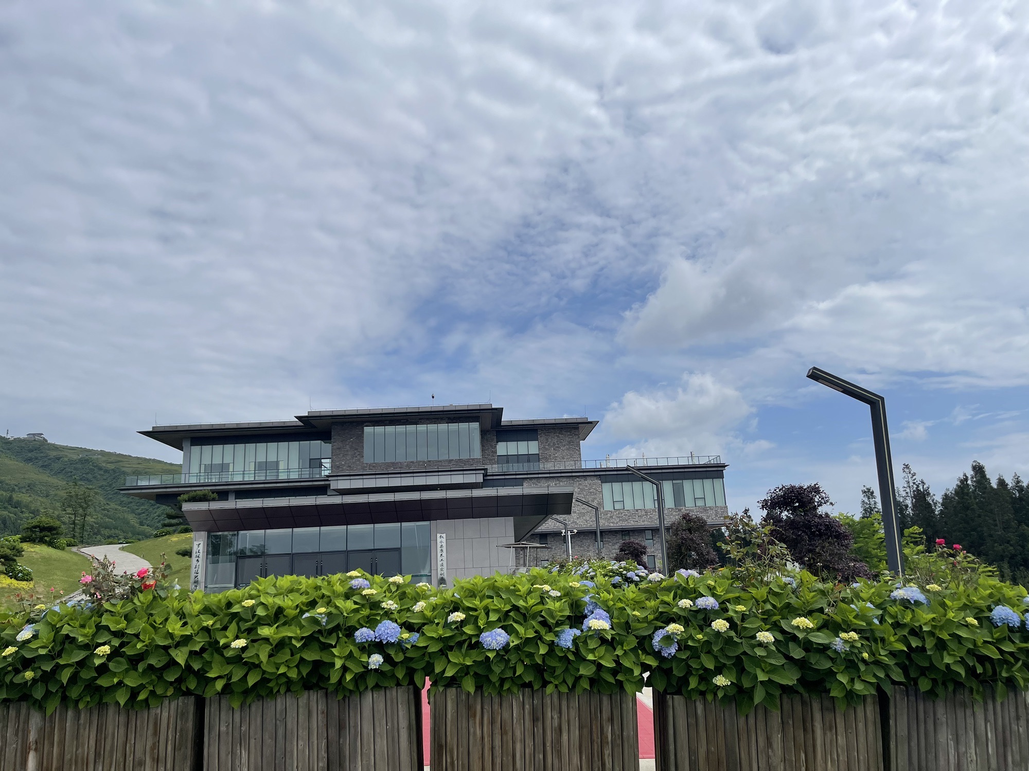 云端罗汉林