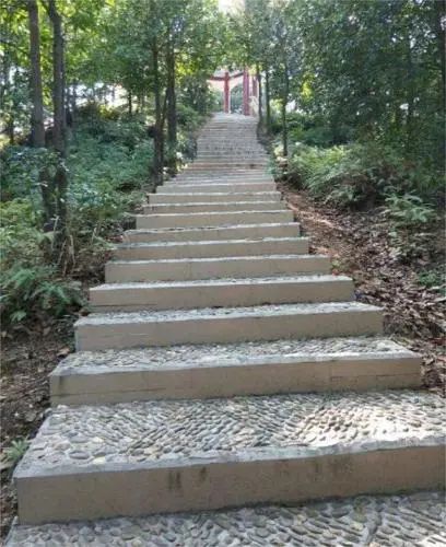 森林公园健走步道