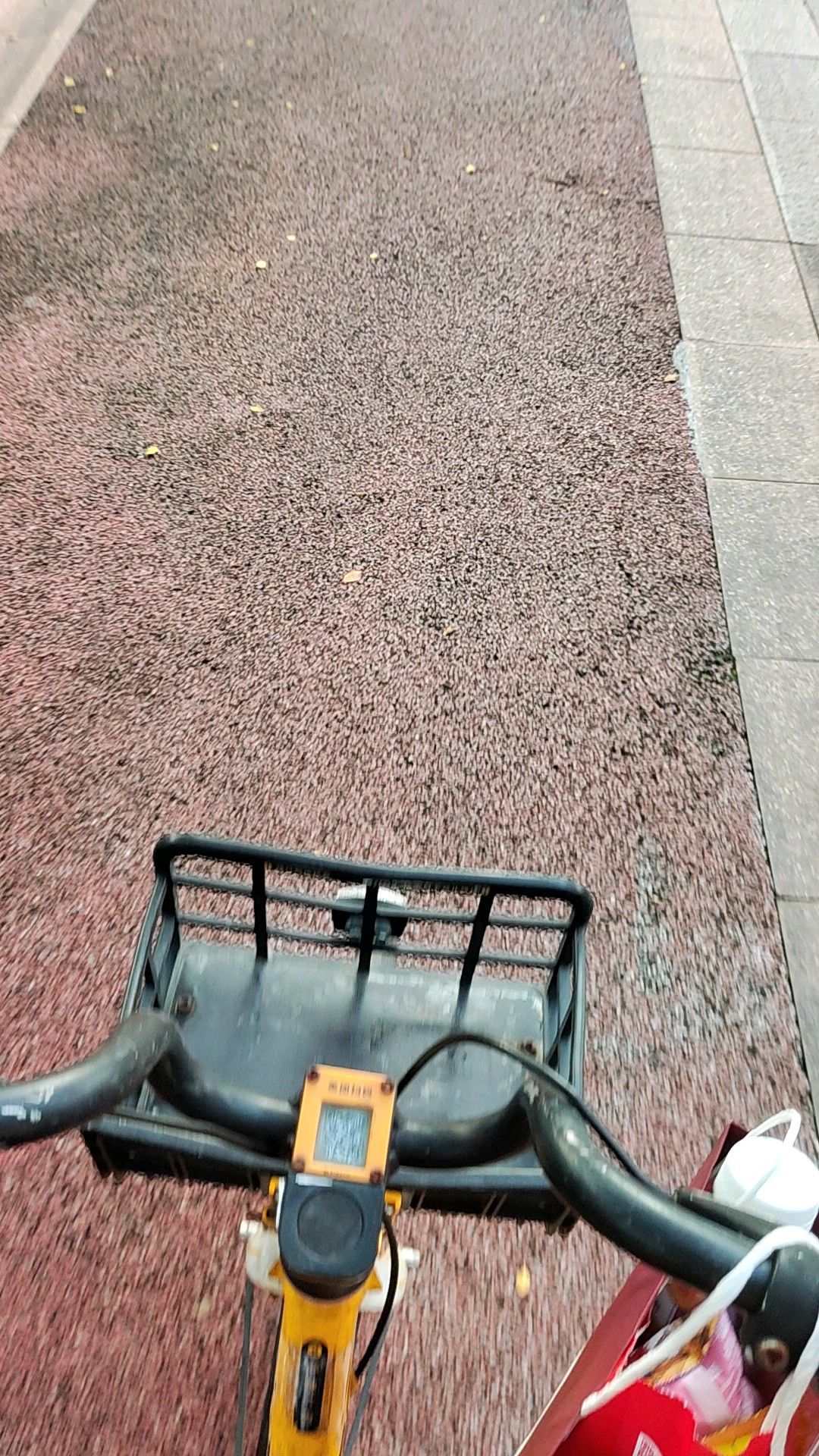 大自然公园