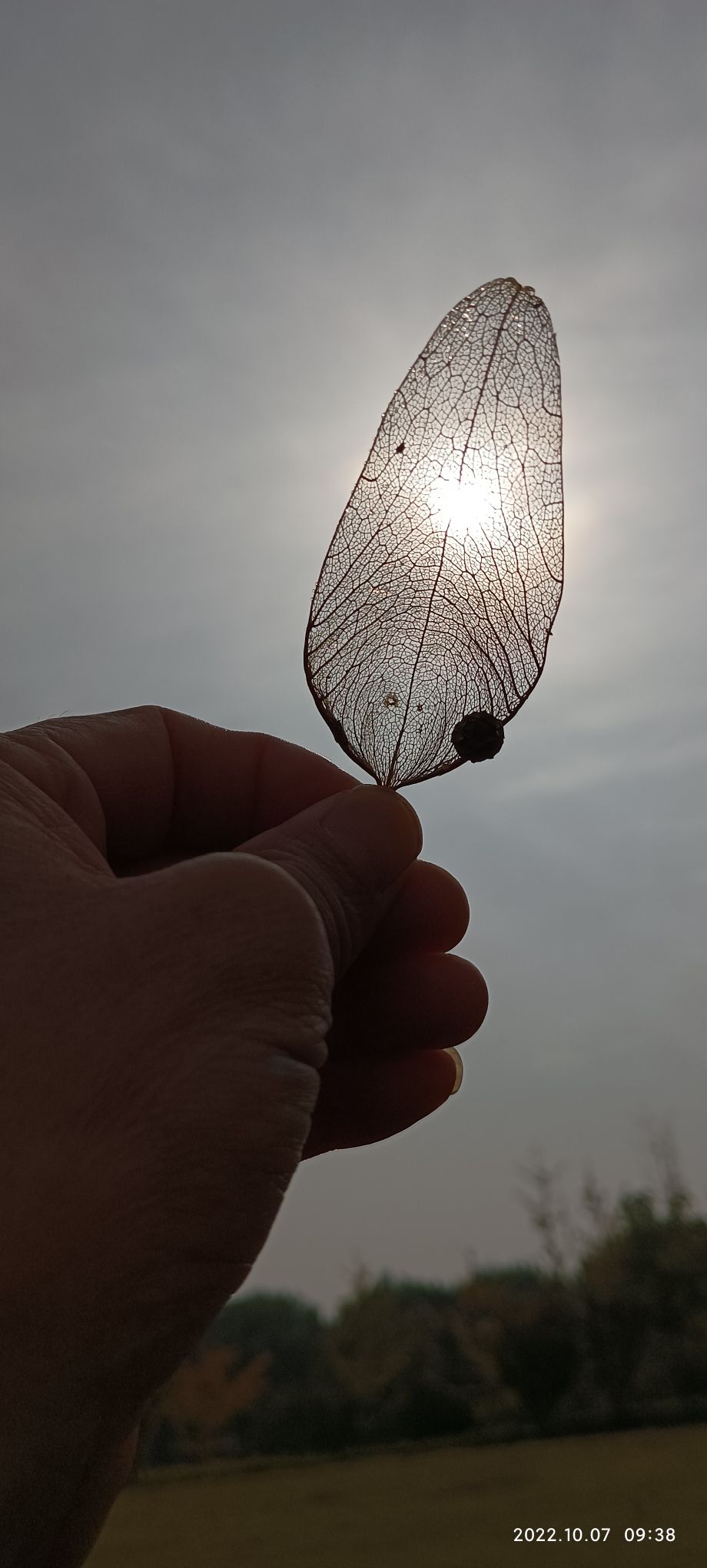 汴梁草原旅行图片