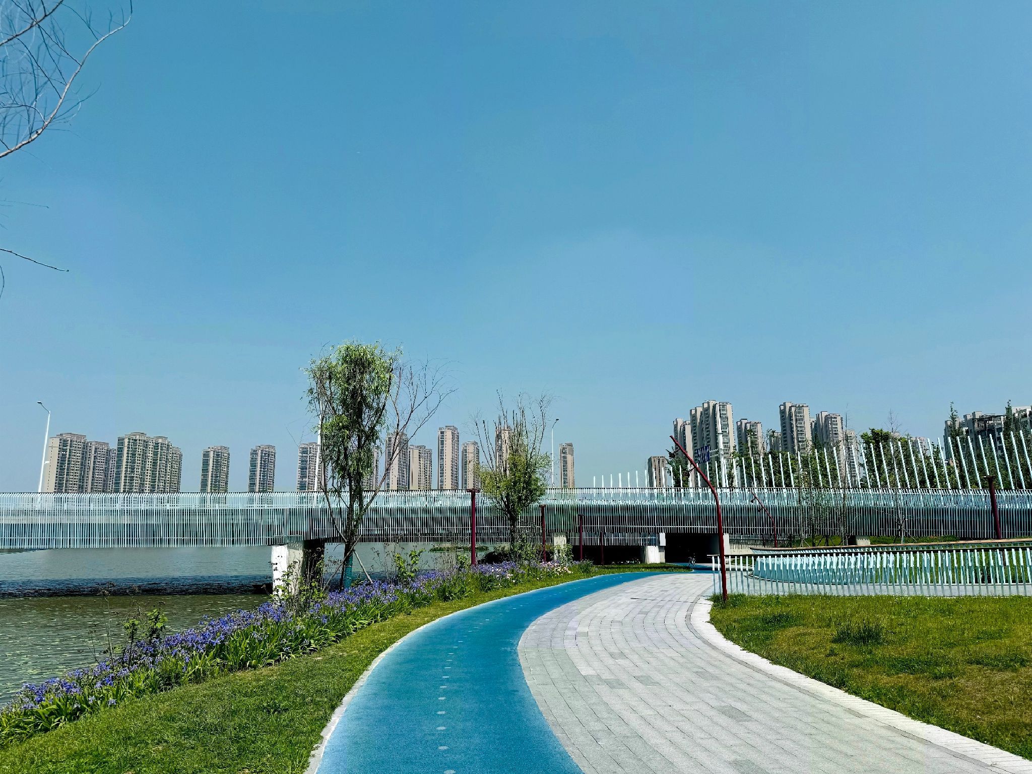 九龙湖南湖公园旅行图片