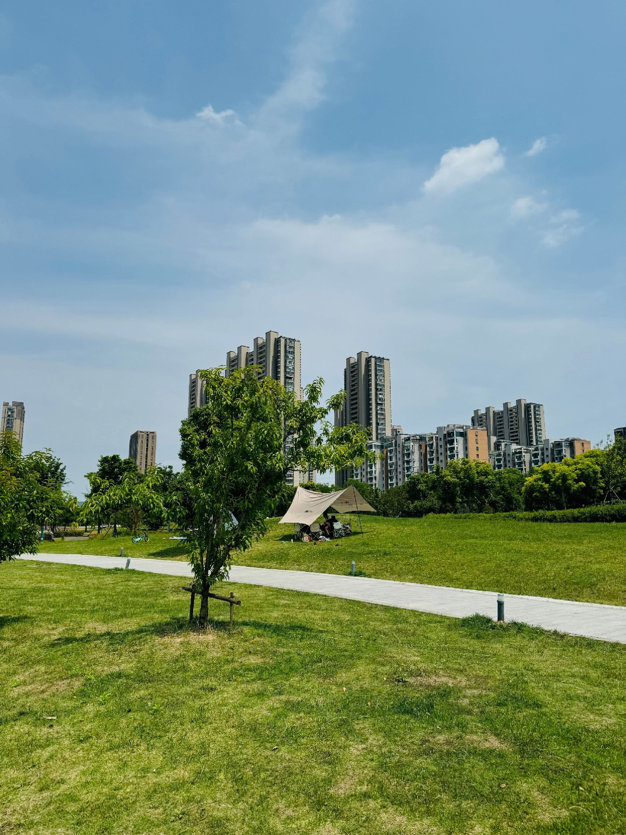 九龙湖南湖公园旅行图片