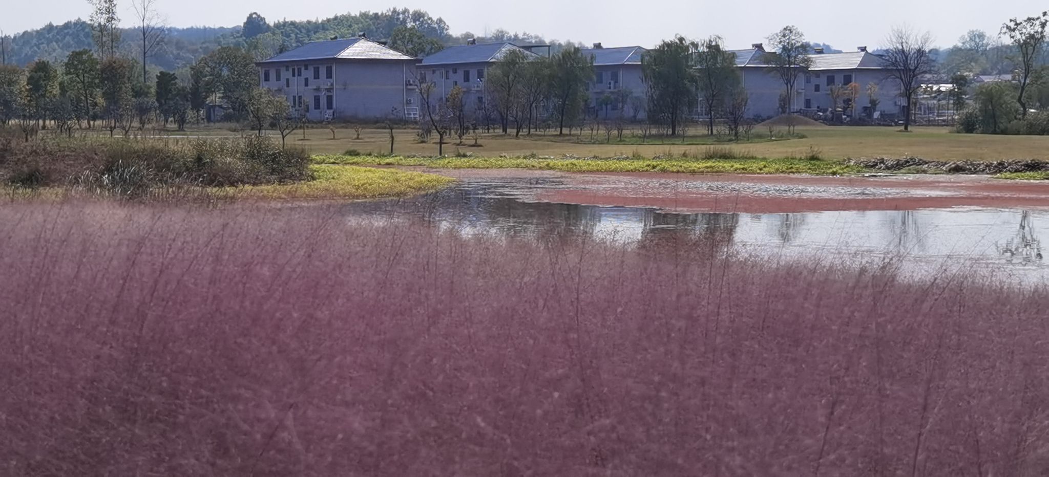 东淠河生态湿地公园