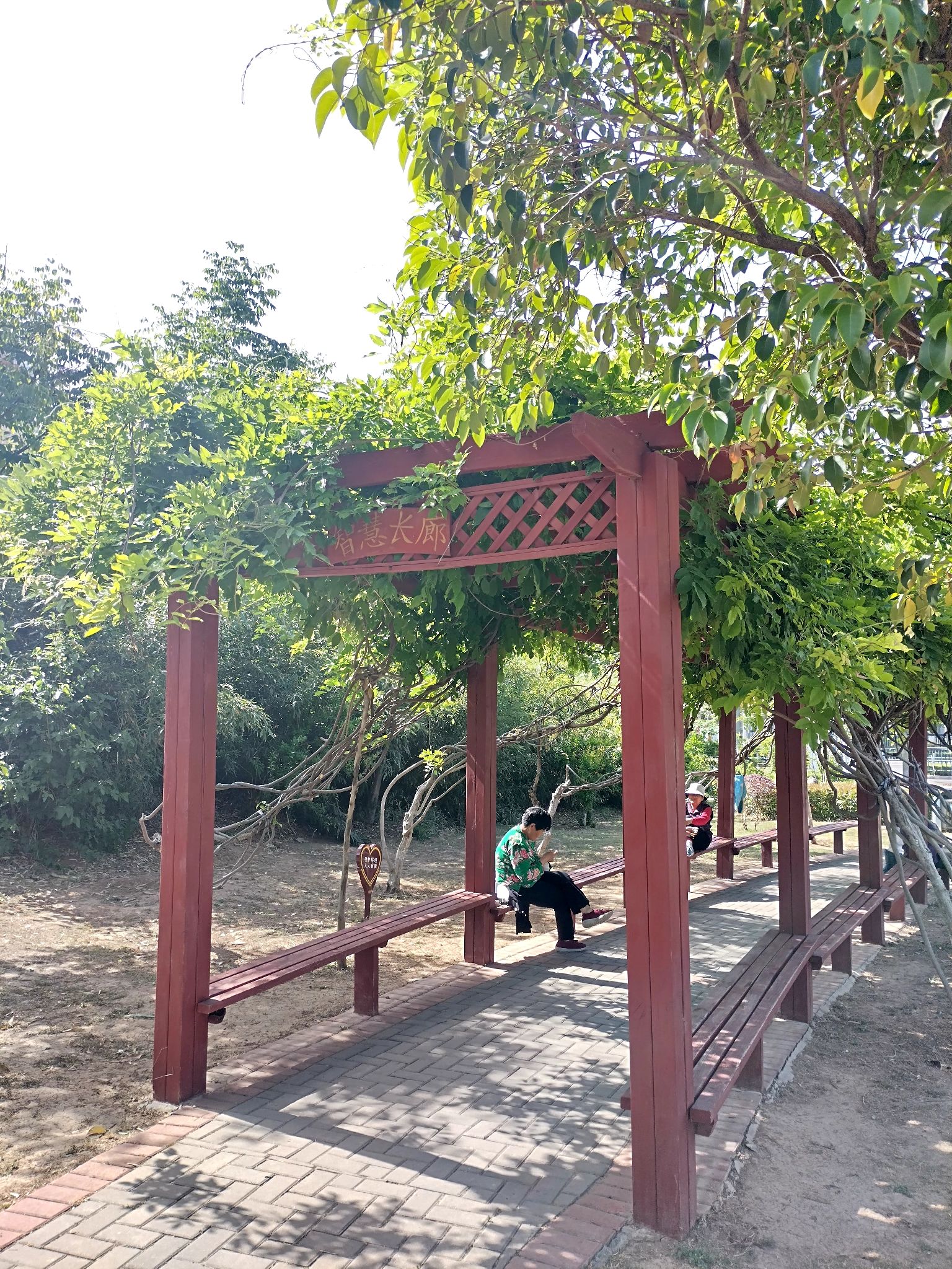 萧县文明交通主题公园