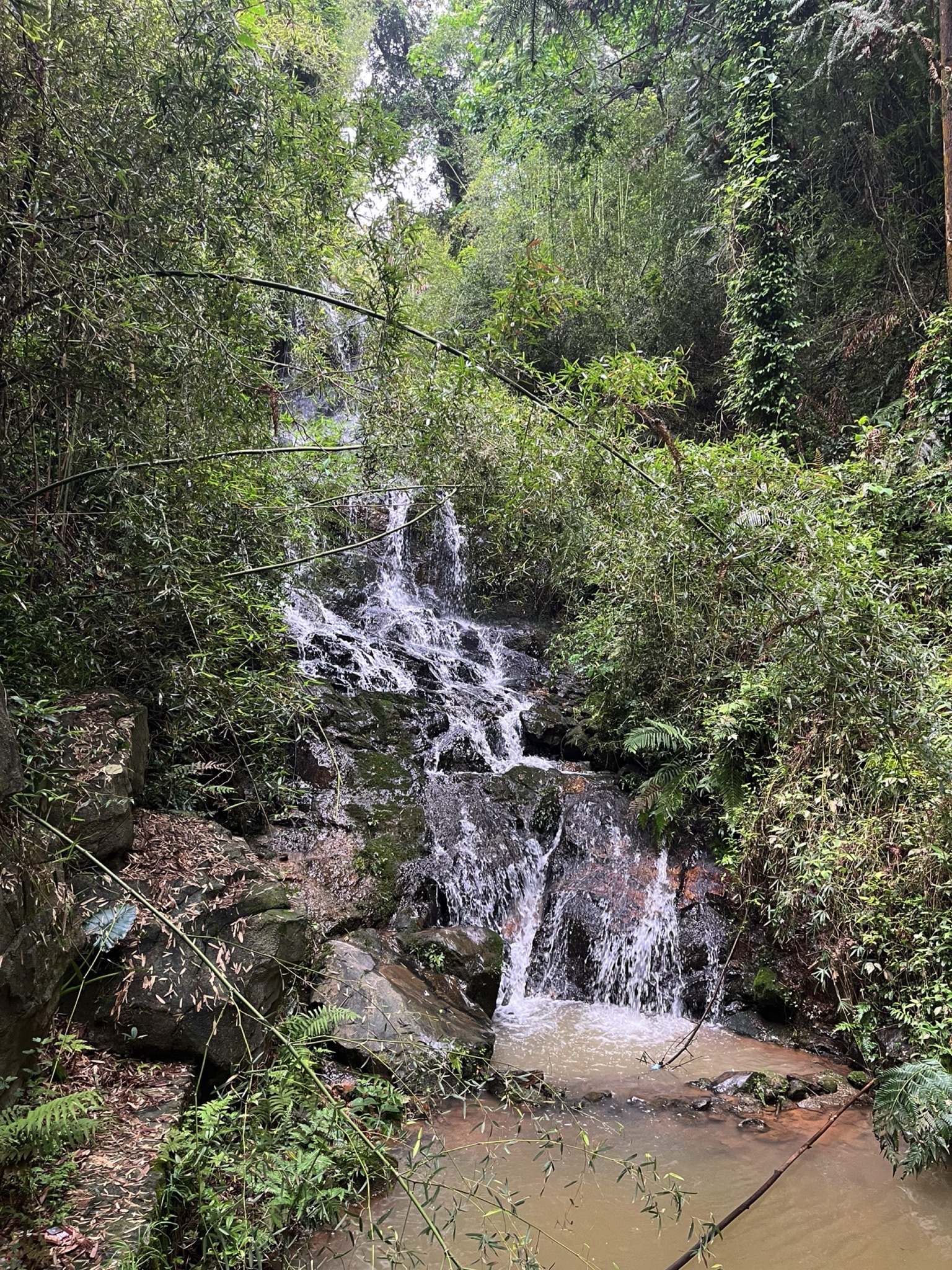桃花源登山步道