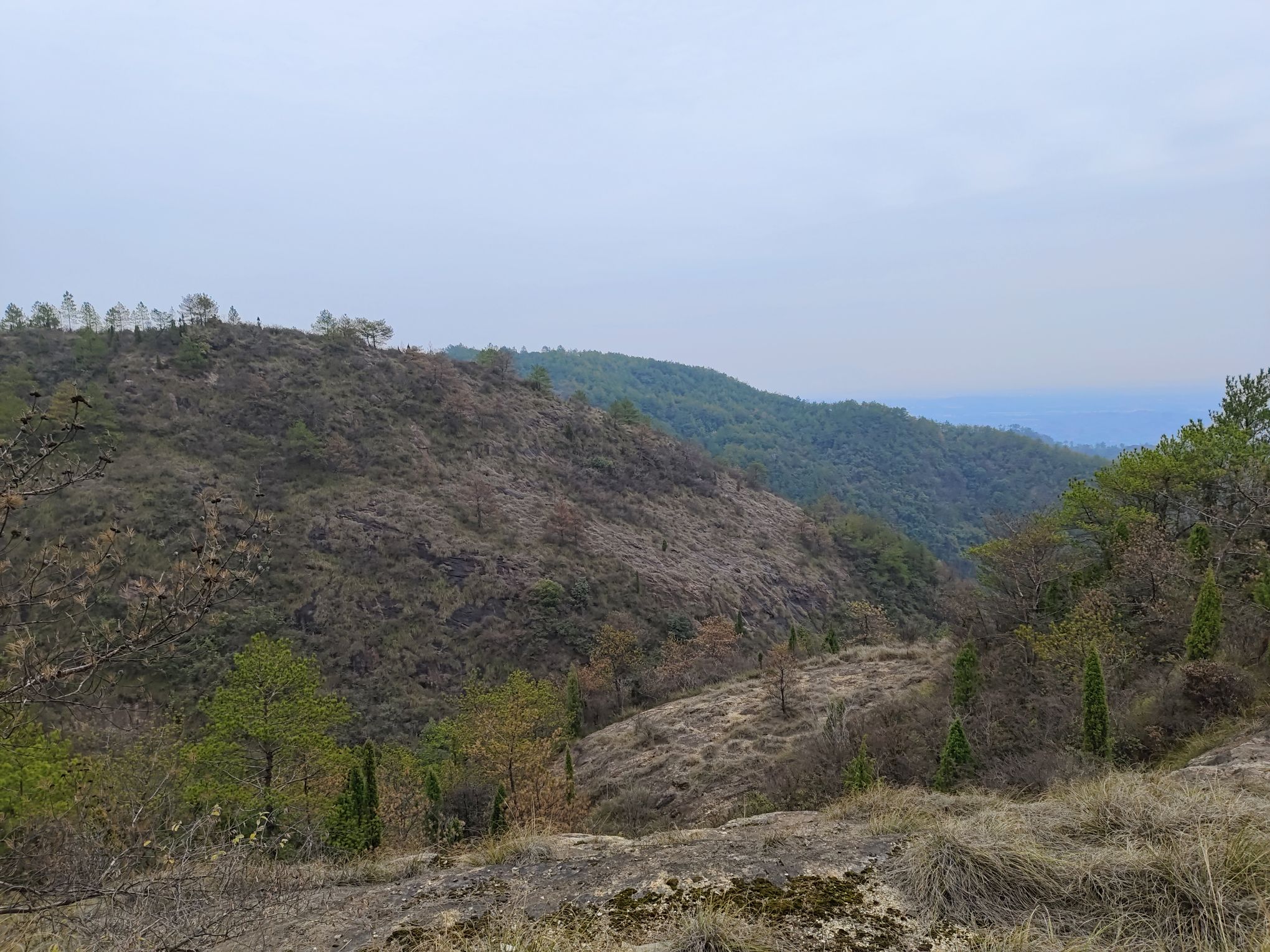 岑山森林公园登山步道