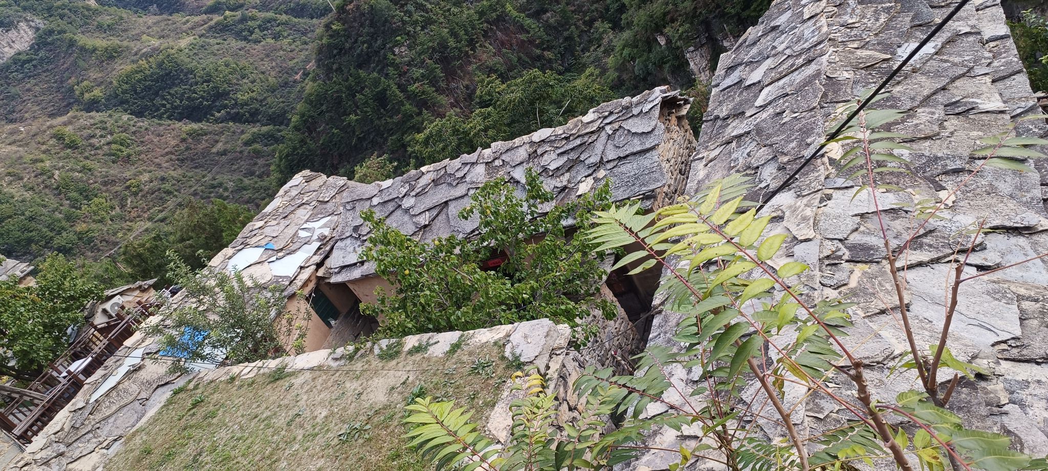 岳家寨景区