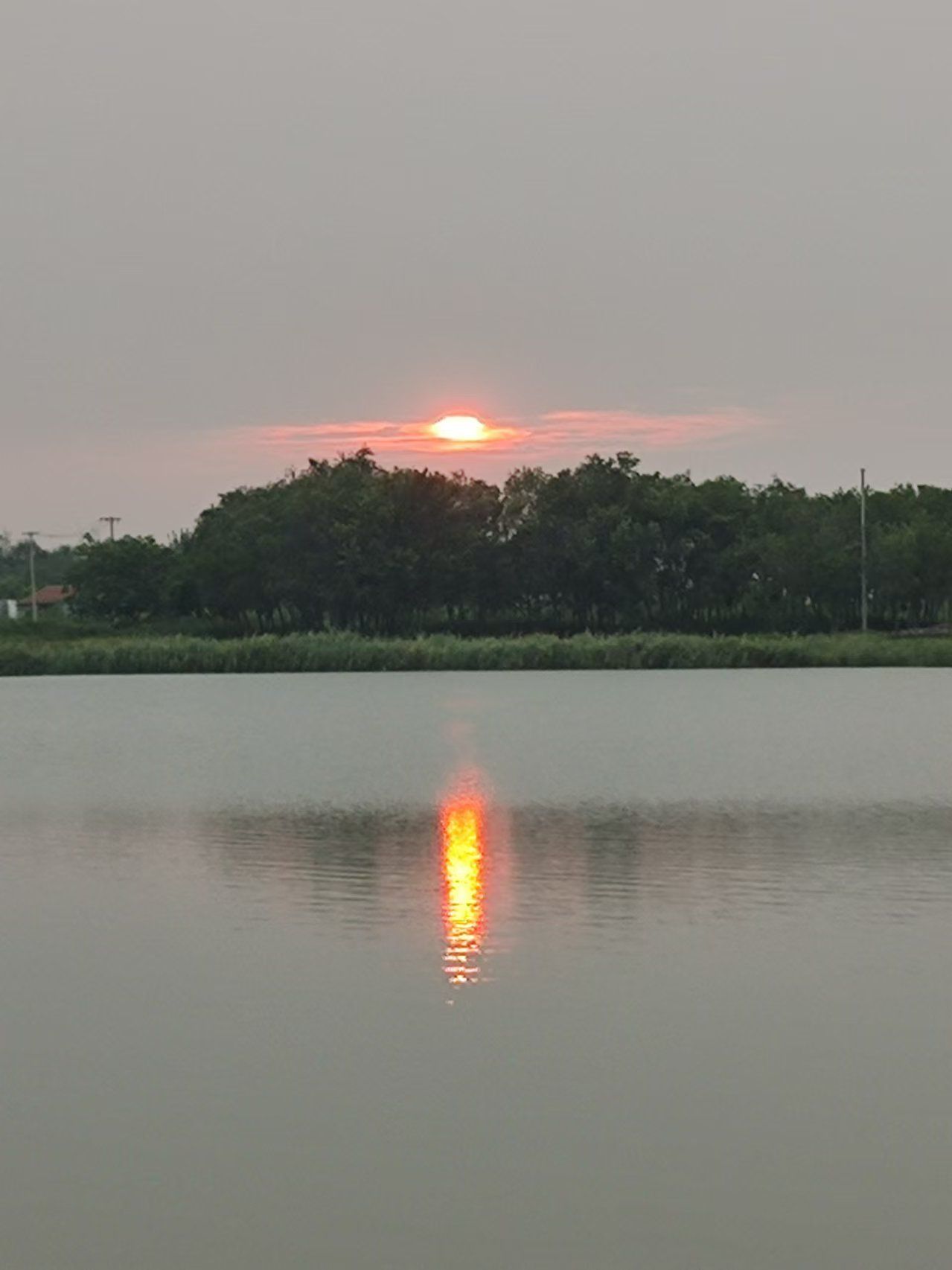 乐陵市中央公园