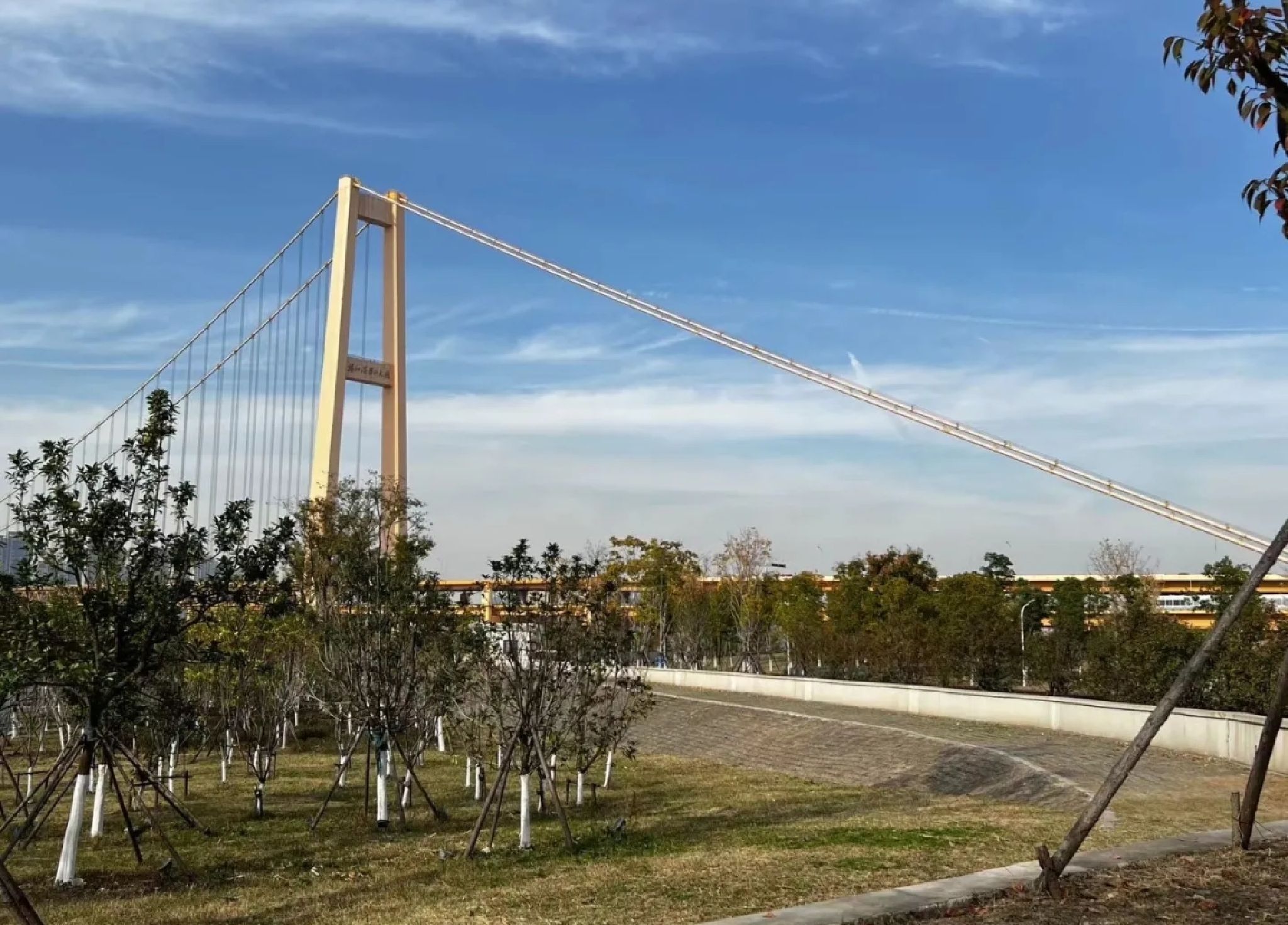 洪山江滩旅行图片