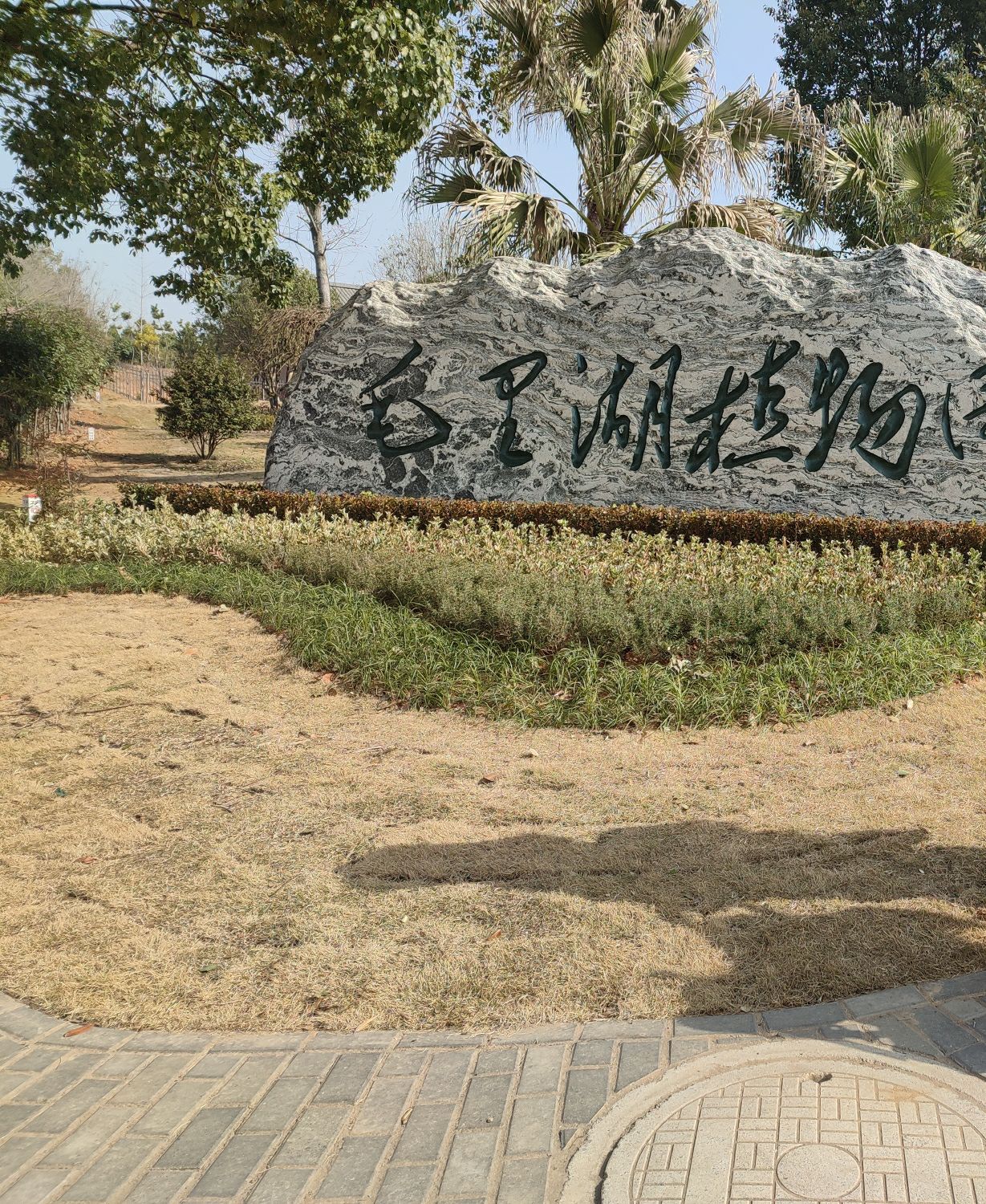 津市毛里湖植物园旅行图片