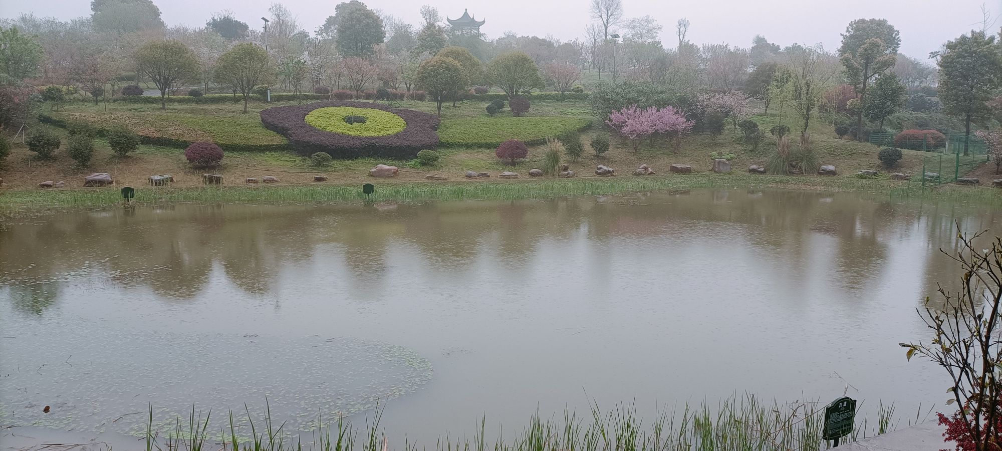 津市毛里湖植物园旅行图片