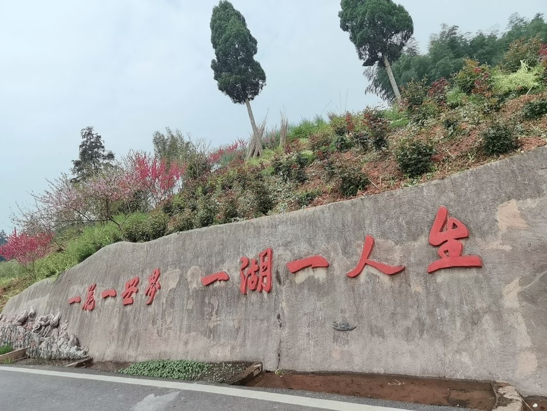 龙湖水香