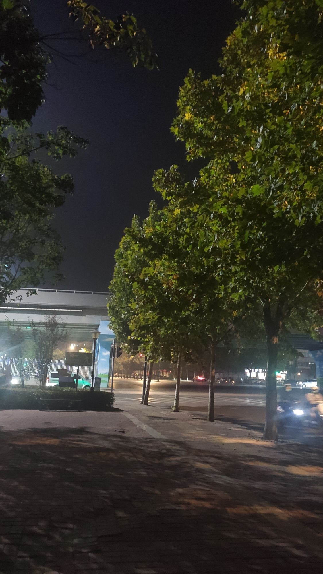 凌波游园旅行图片