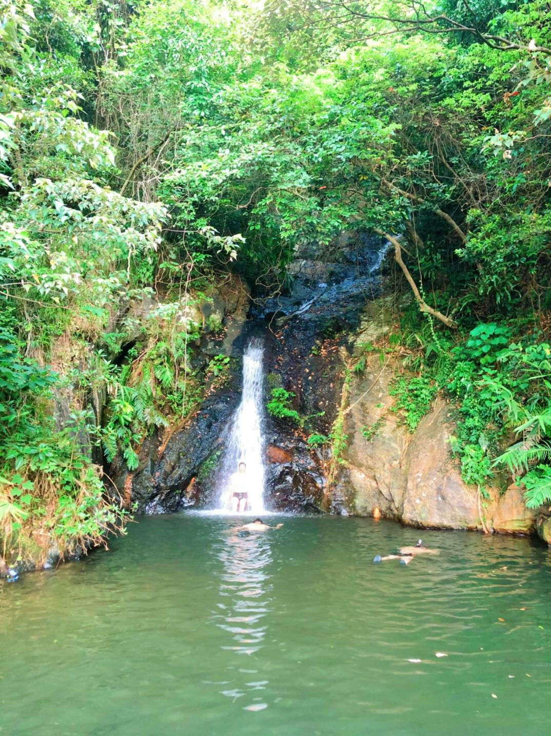 龙潭芳香南山