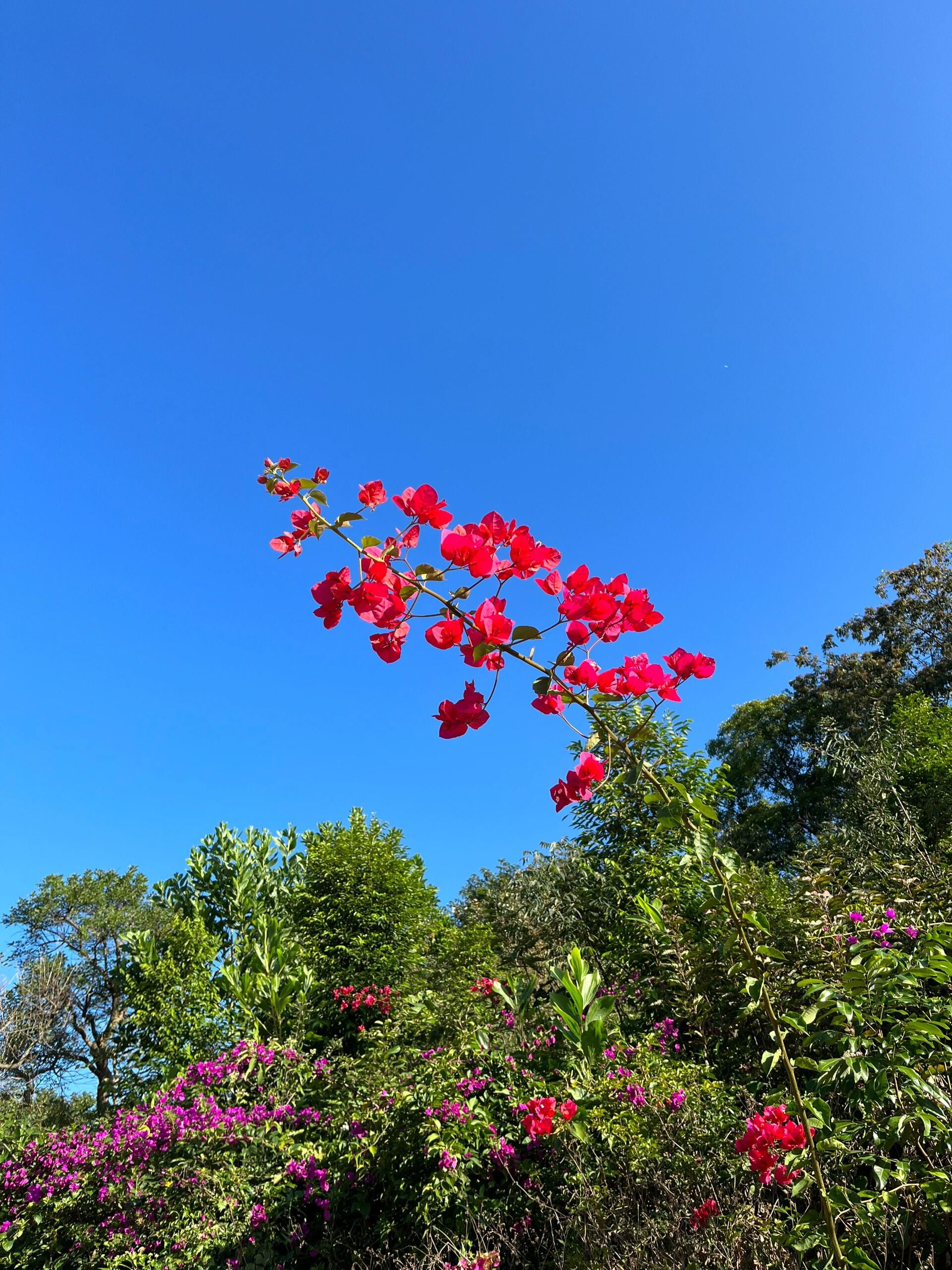 白水山森林公园