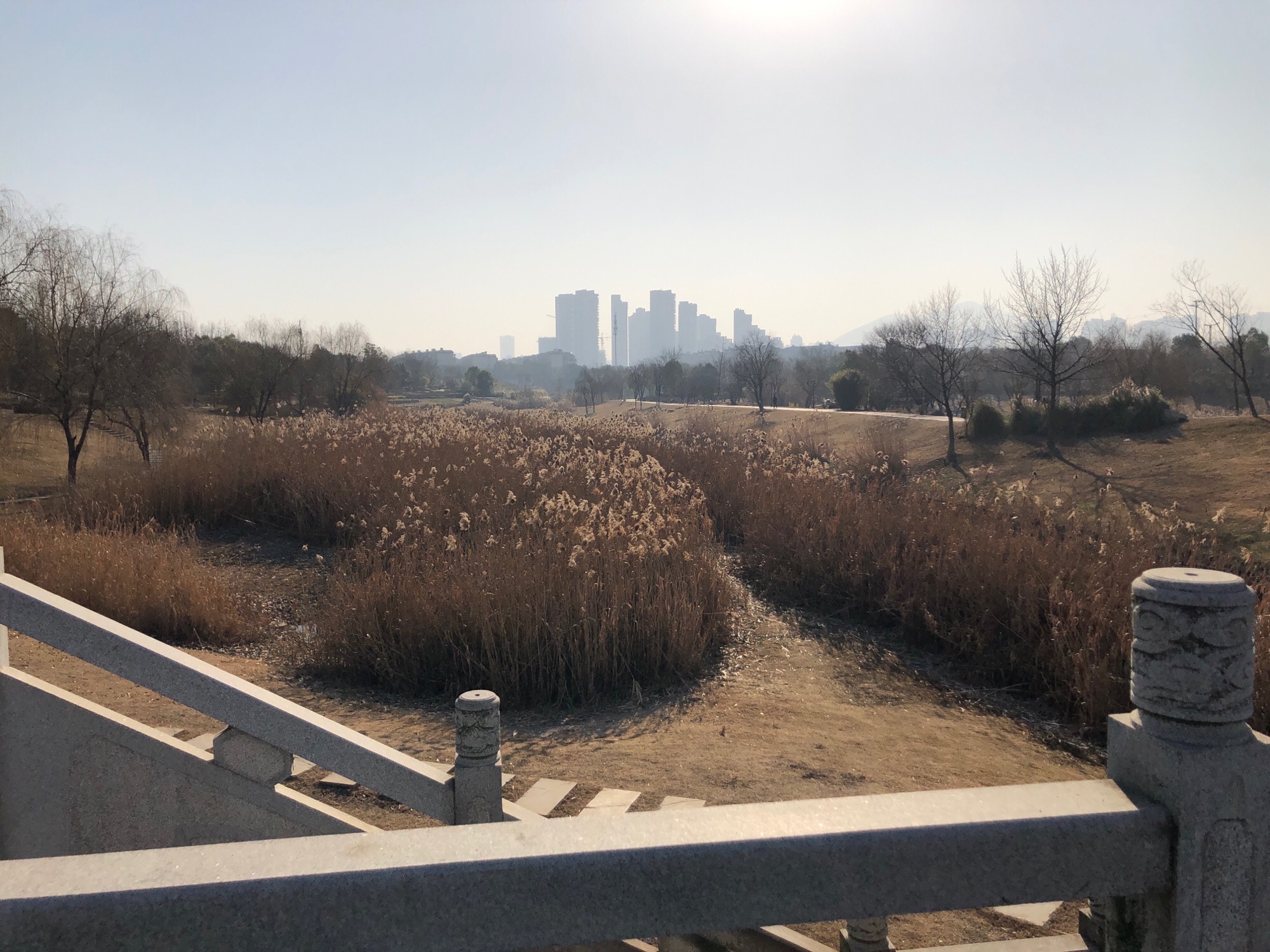 黑砂河湿地公园