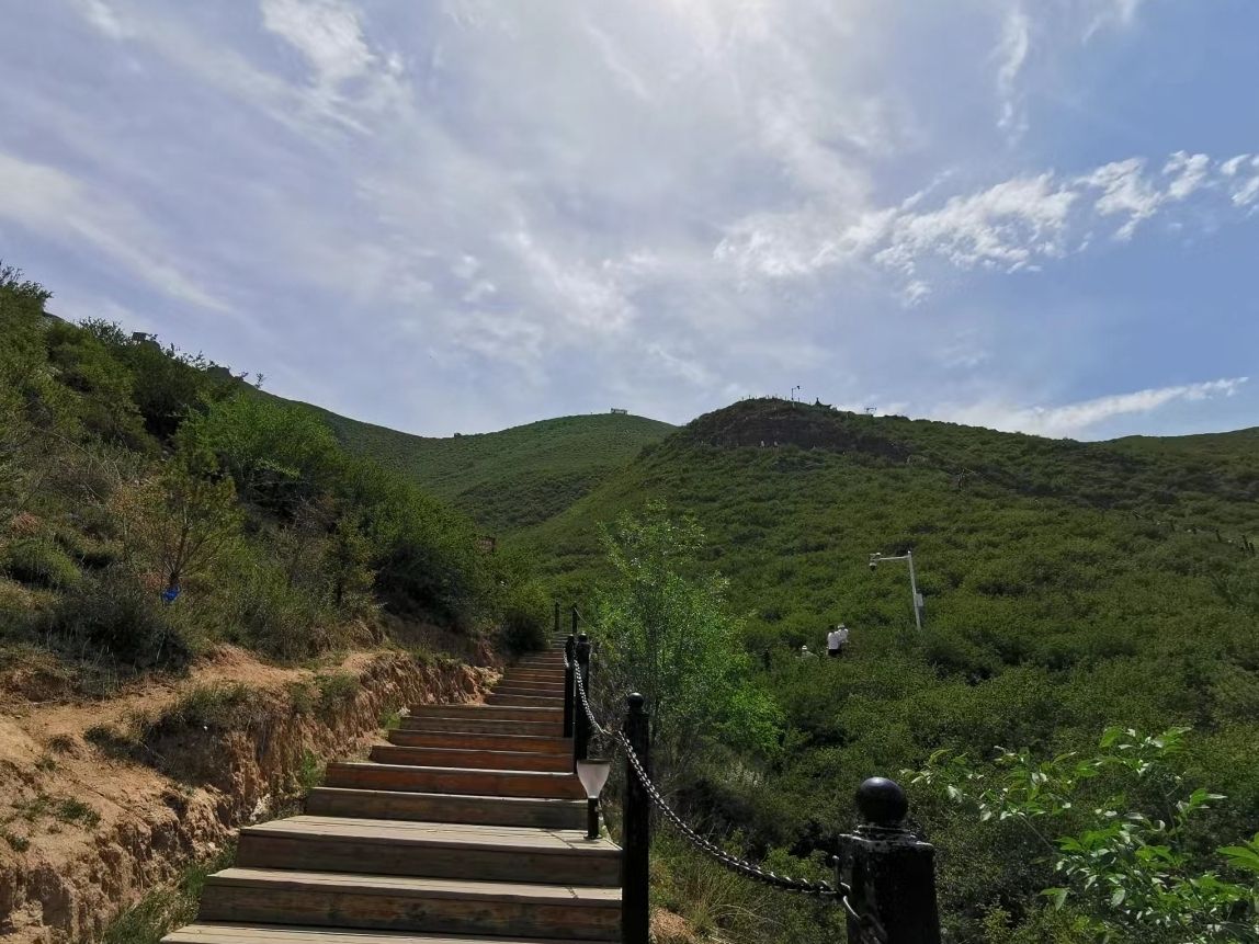 大青山