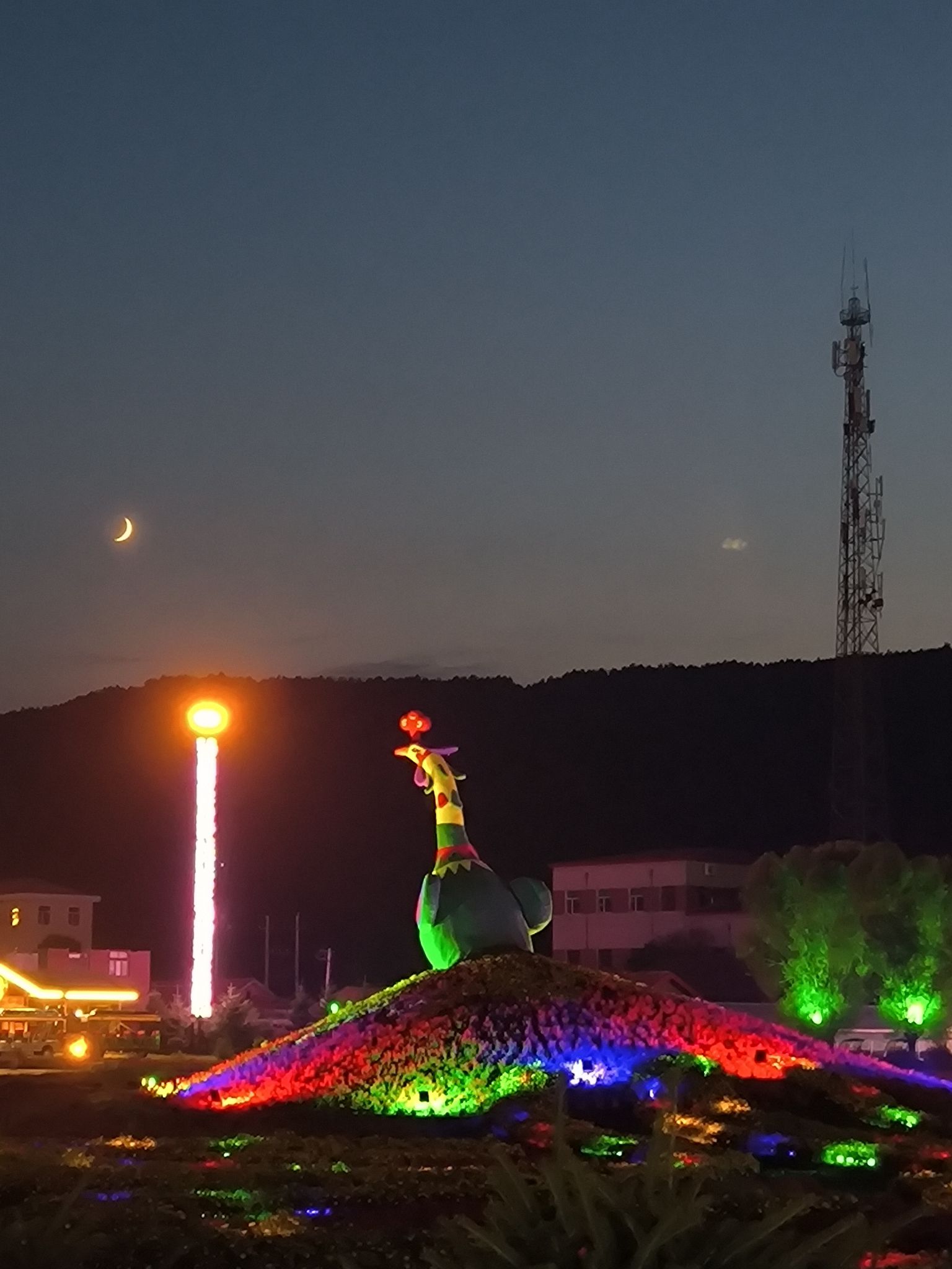 朗乡花海(暂停开放)