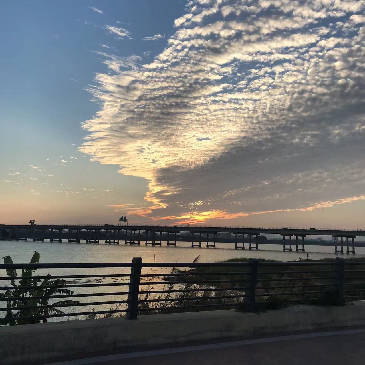 张湾广场