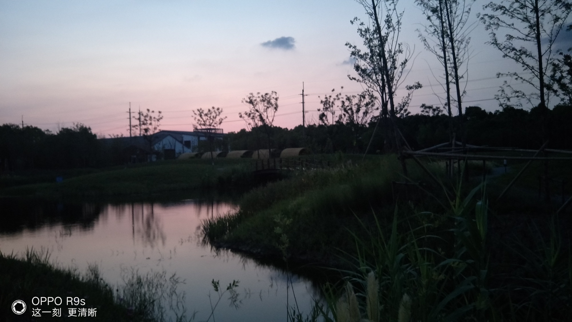 塘湾村母亲花文化园旅行图片