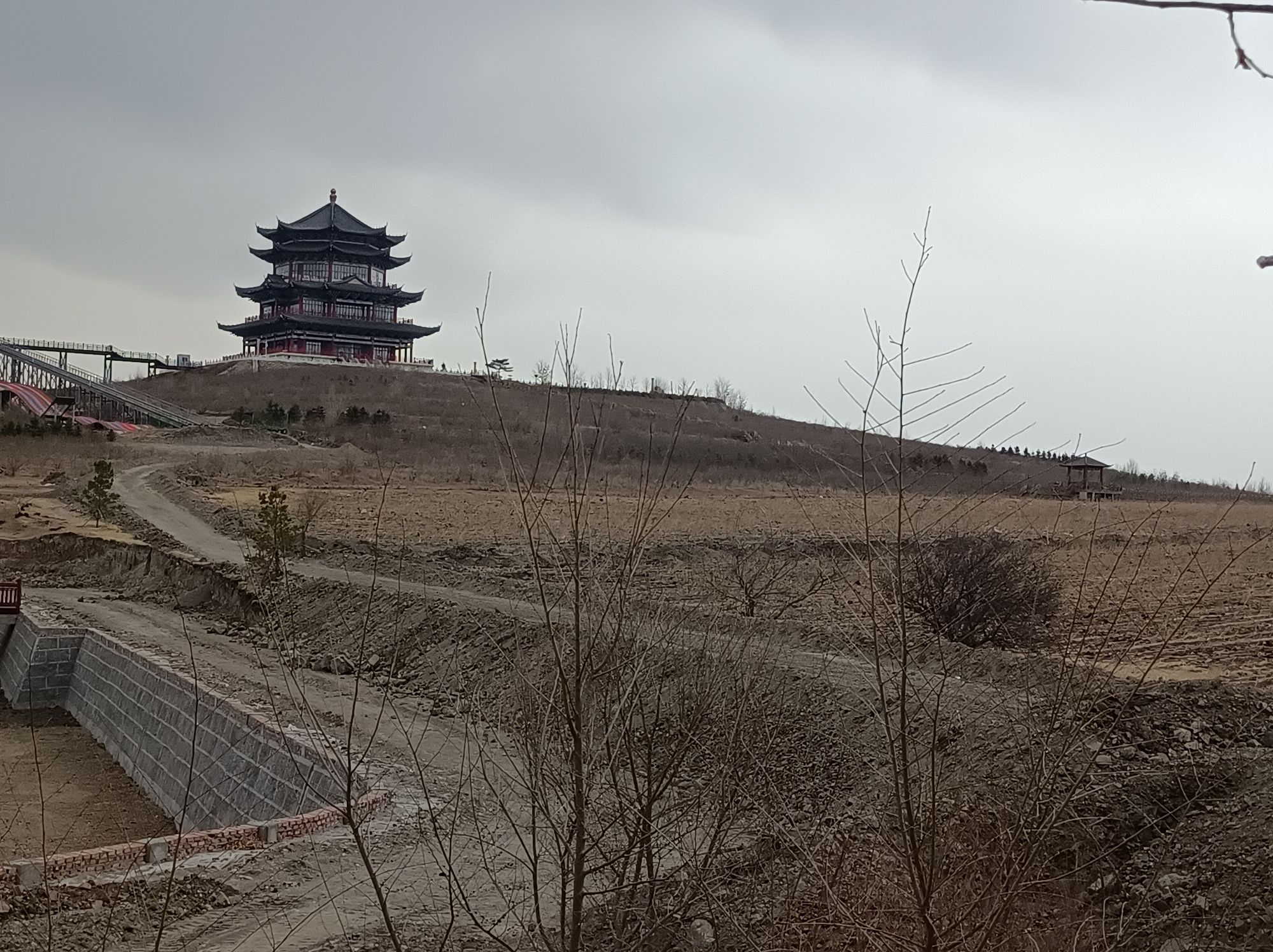 突泉县曙光花海(暂停开放)