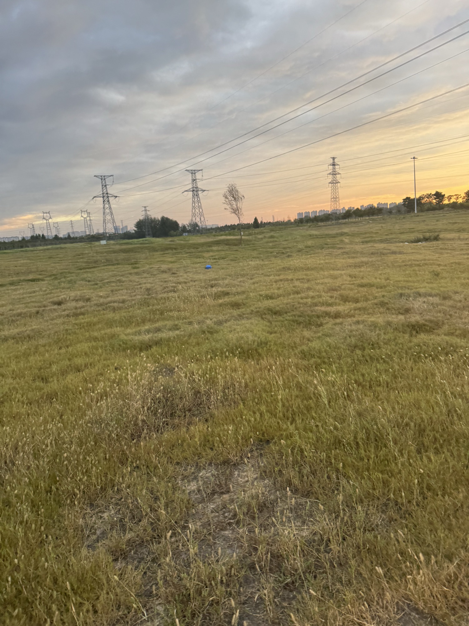 御风生态公园旅行图片