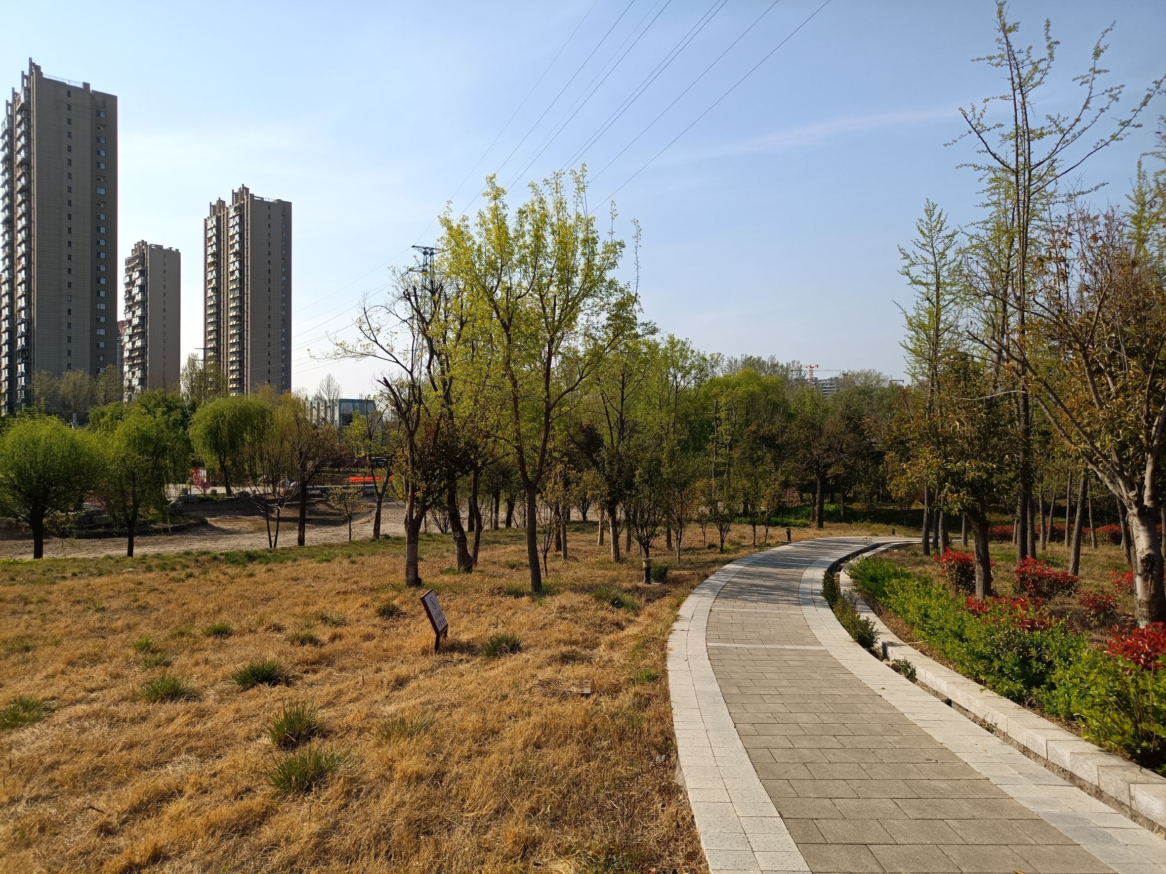 青莲公园