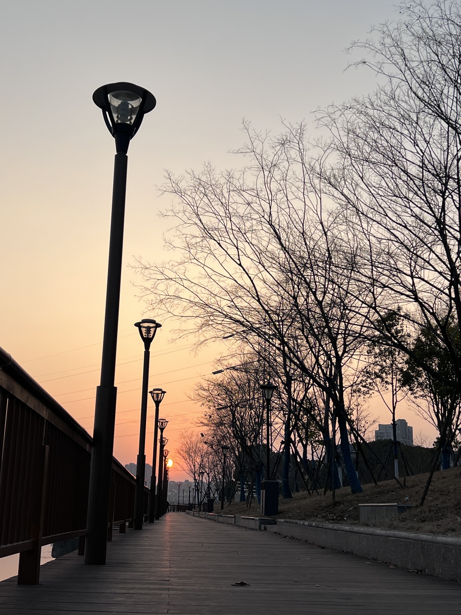 南湖花溪公园旅行图片