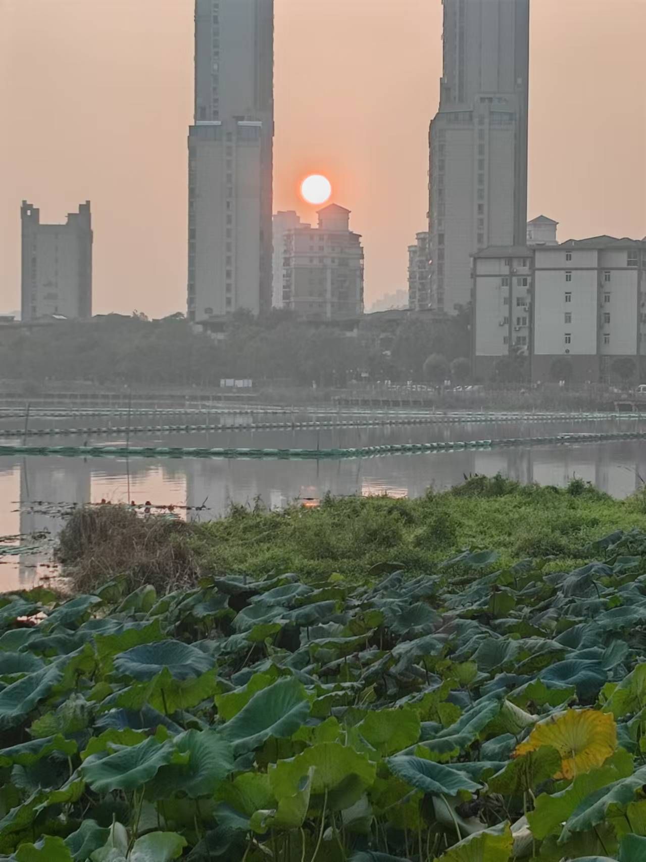 南湖花溪公园旅行图片