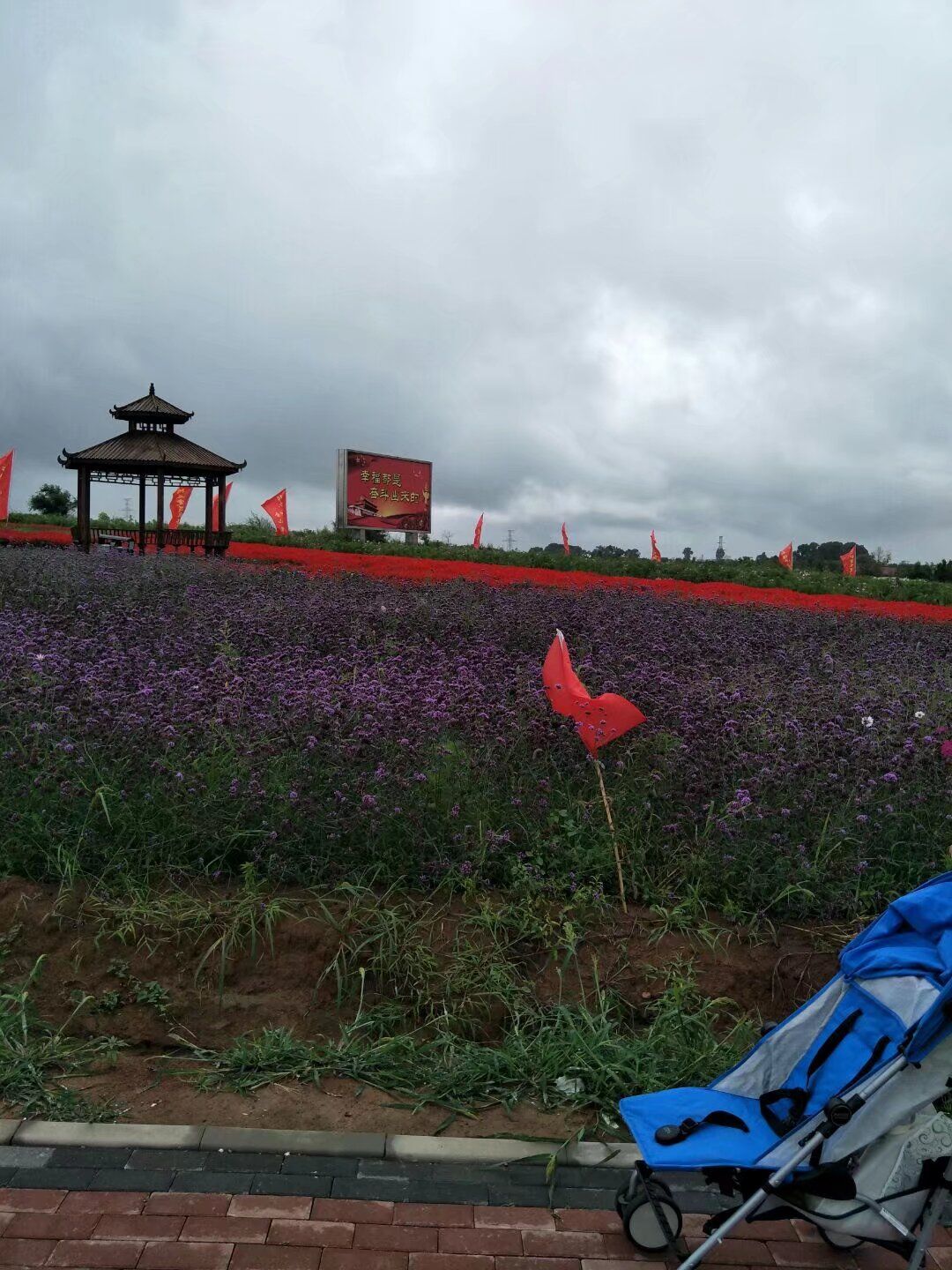 丛泉湖