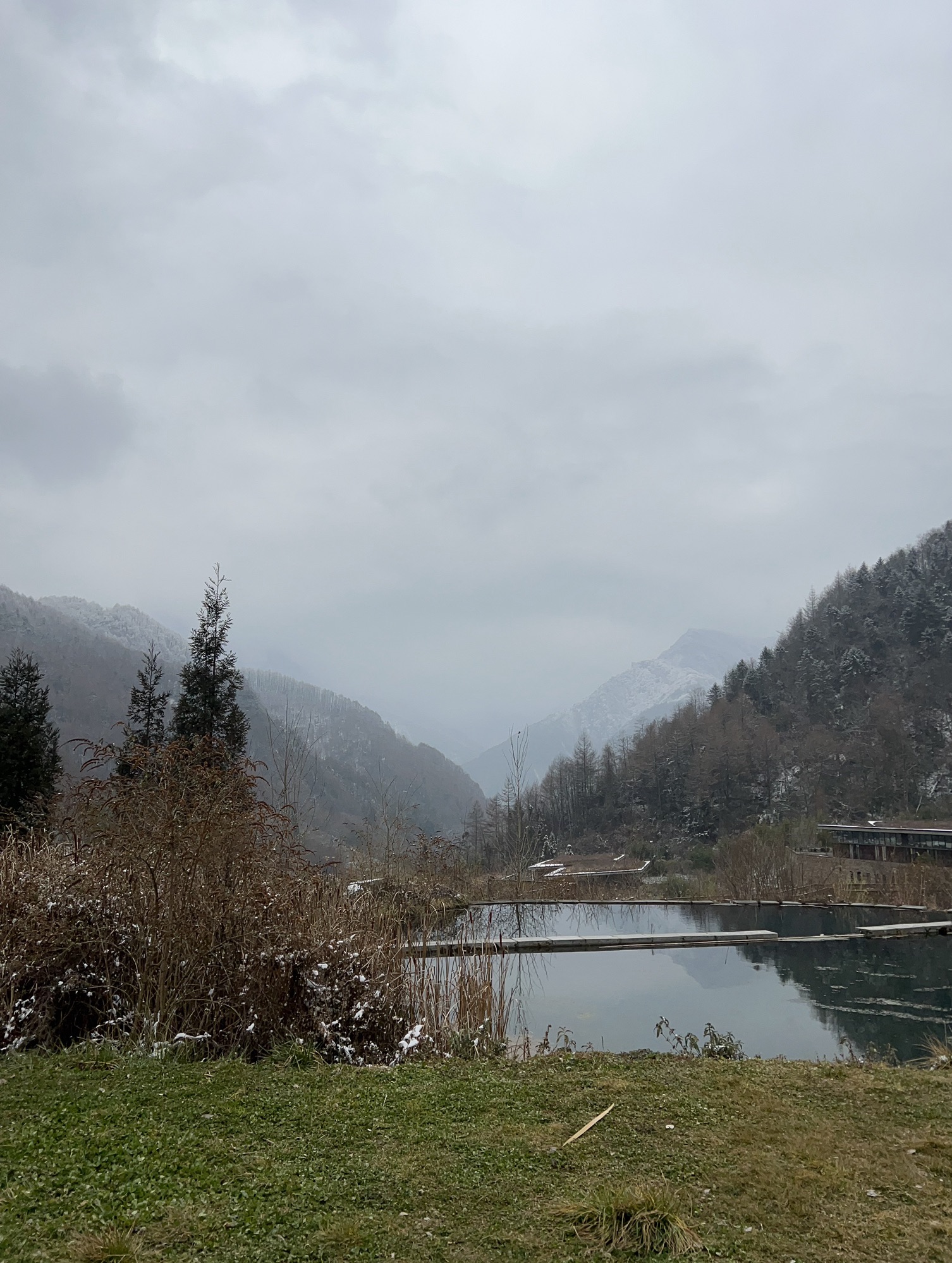 卧龙中华大熊猫苑神树坪基地旅行图片