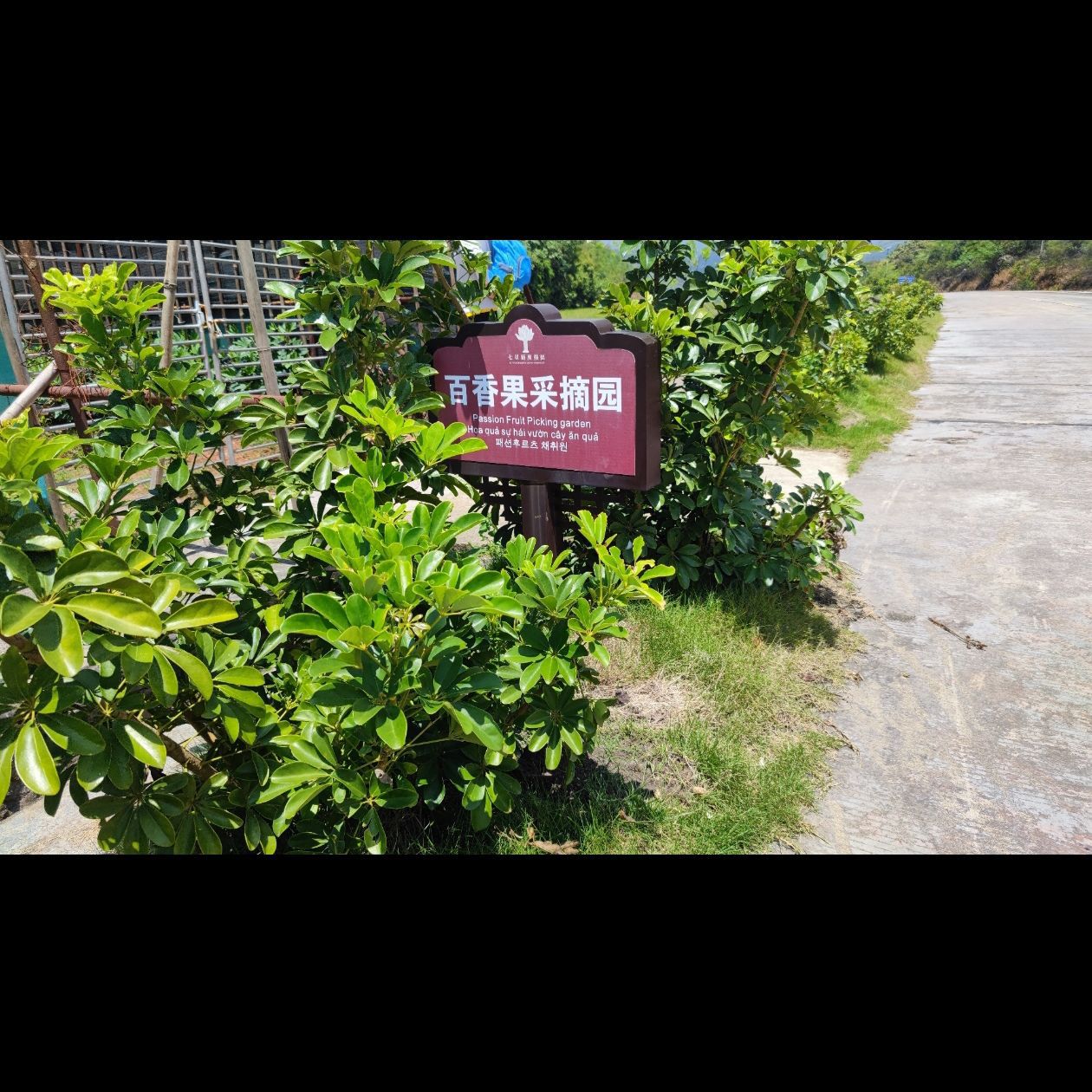 七星顶生态综合旅游度假区