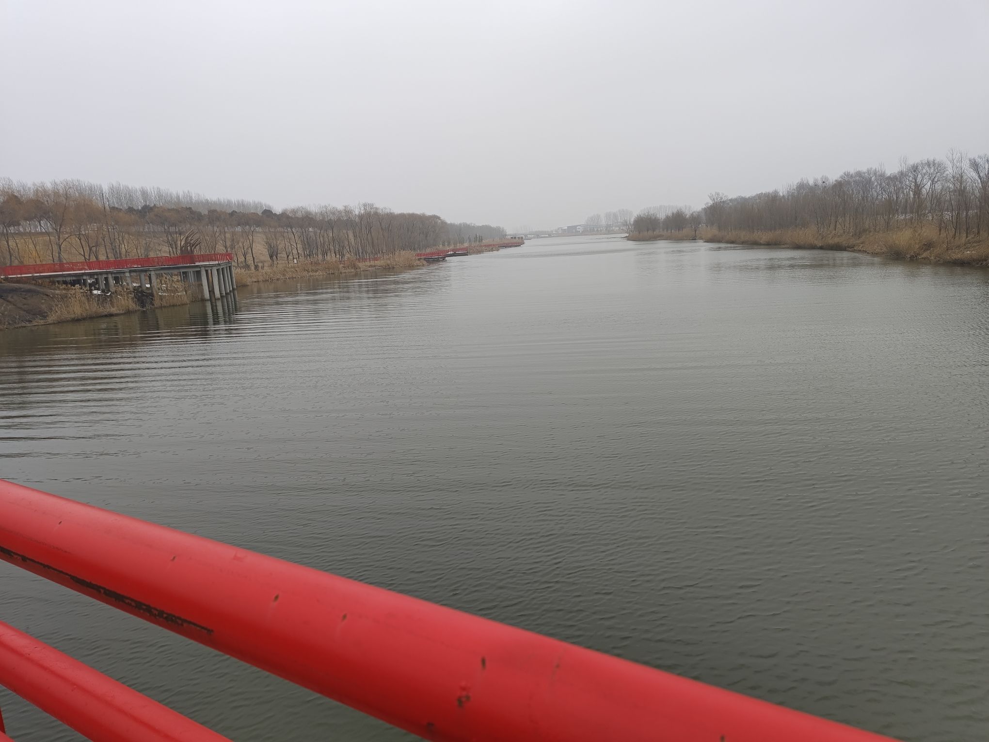 长垣九龙湿地公园