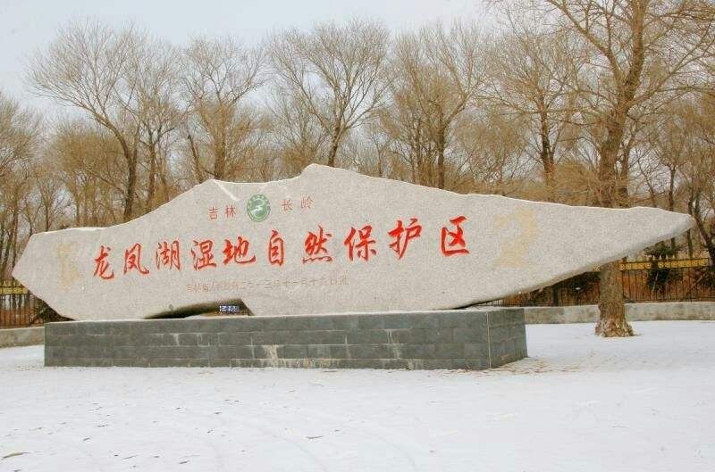 吉林长岭龙凤湖湿地自然保护区旅行图片
