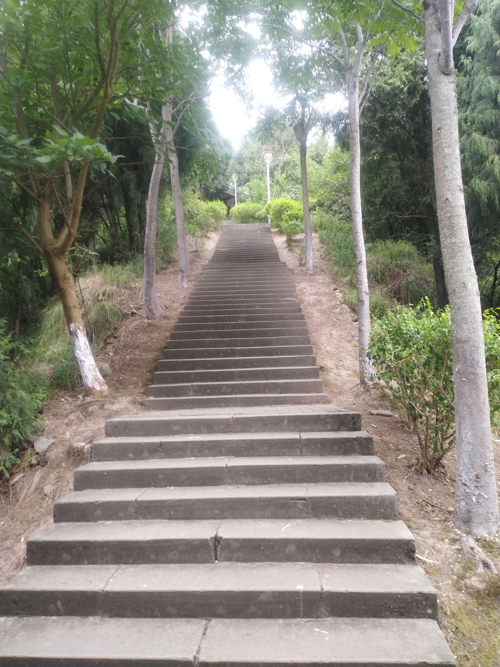 小东山公园
