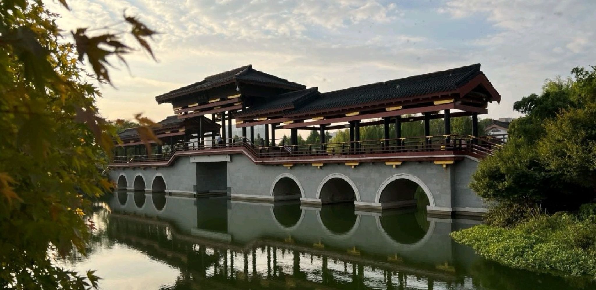 桃花岛公园旅行图片