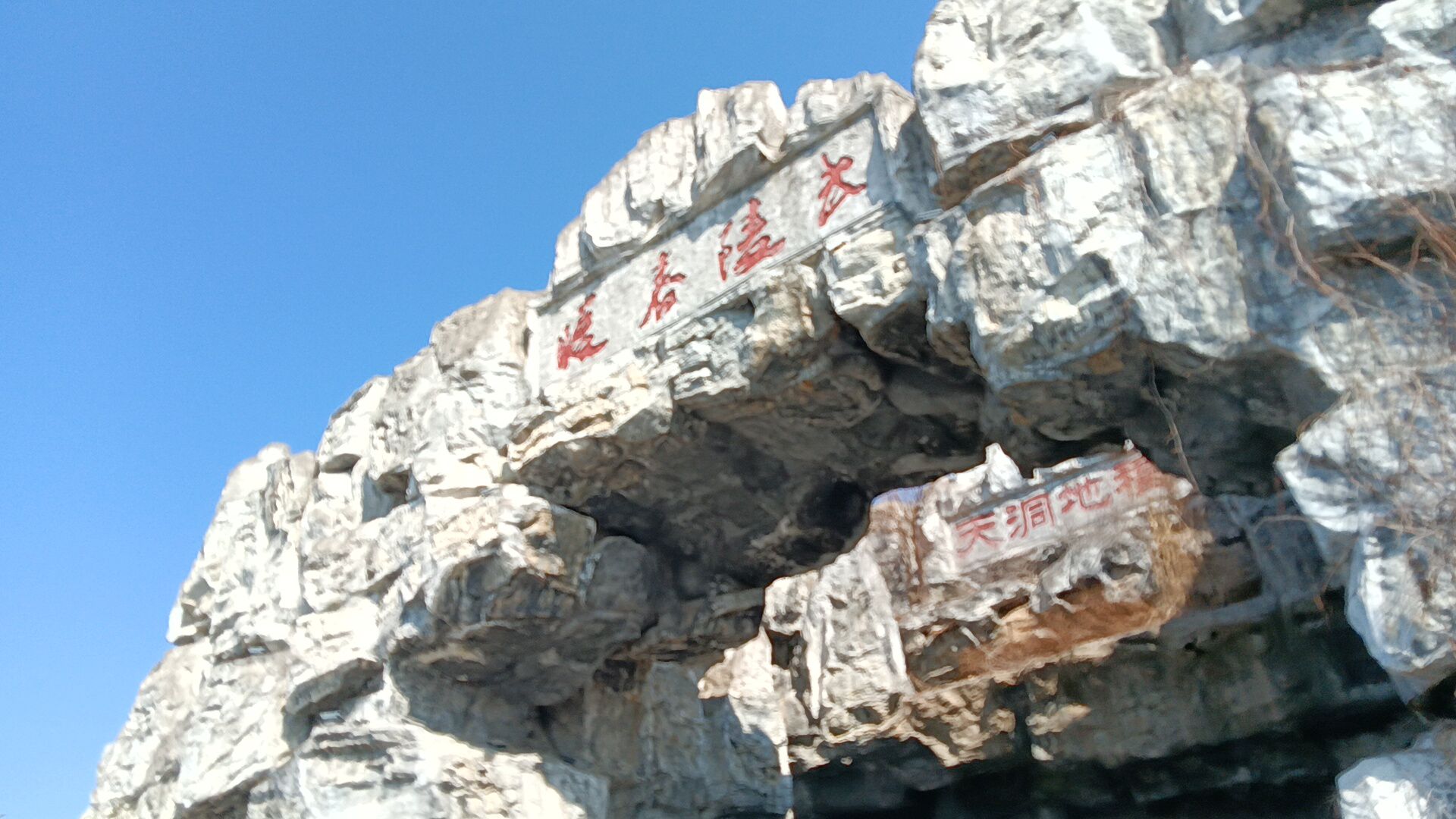 桃花岛公园旅行图片