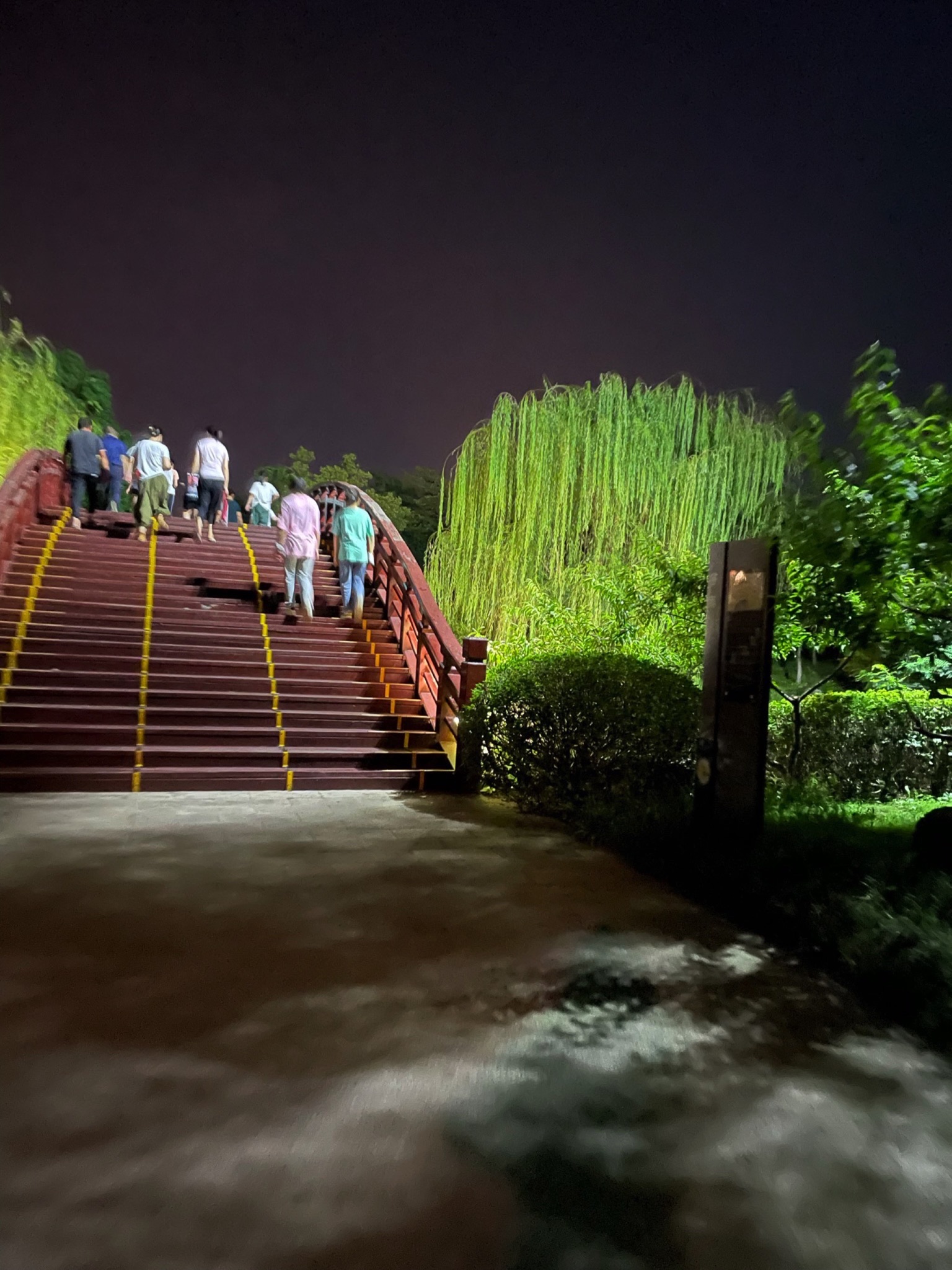 桃花岛公园旅行图片